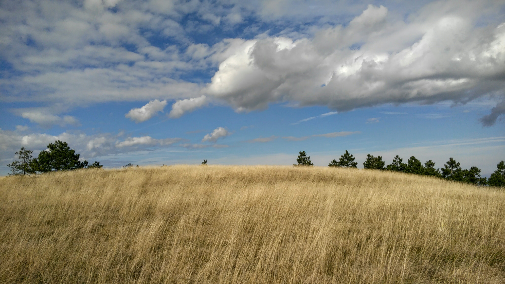 Lenovo S60-A sample photo. Маљен photography