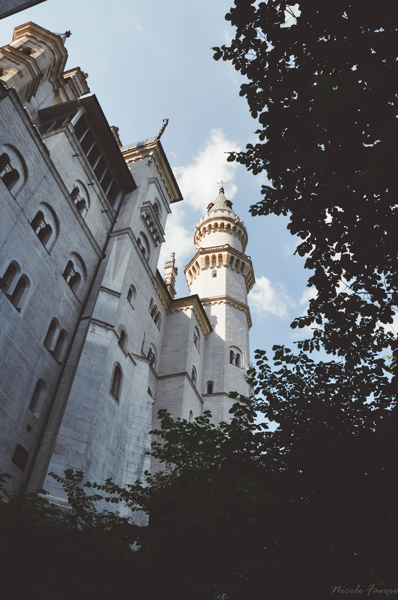 Nikon D5000 sample photo. I don't wanna be royal. photography