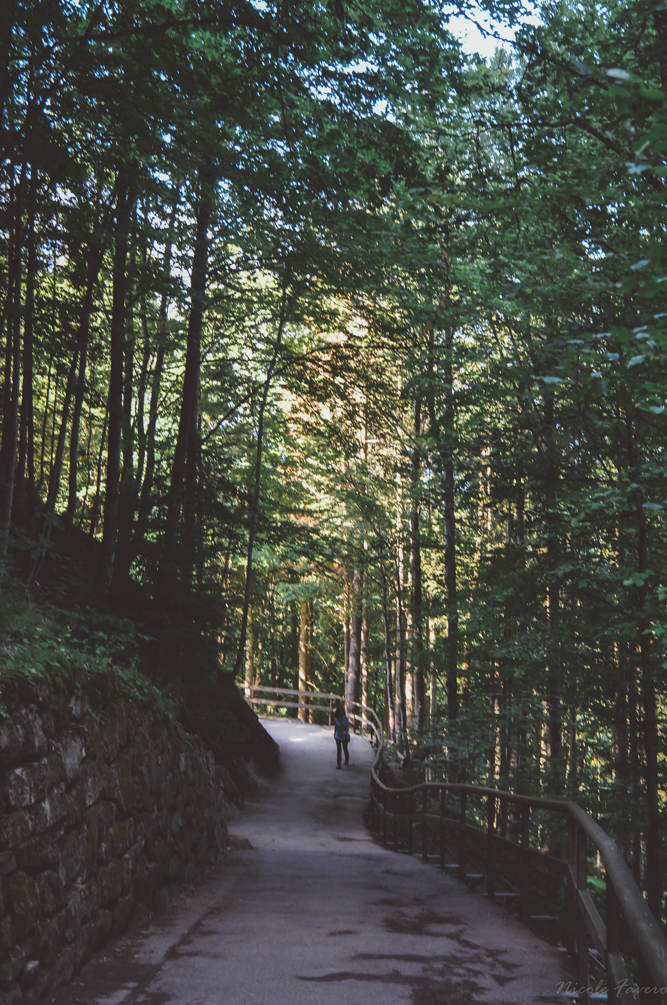 Nikon D5000 sample photo. Through the deep dark wood. photography