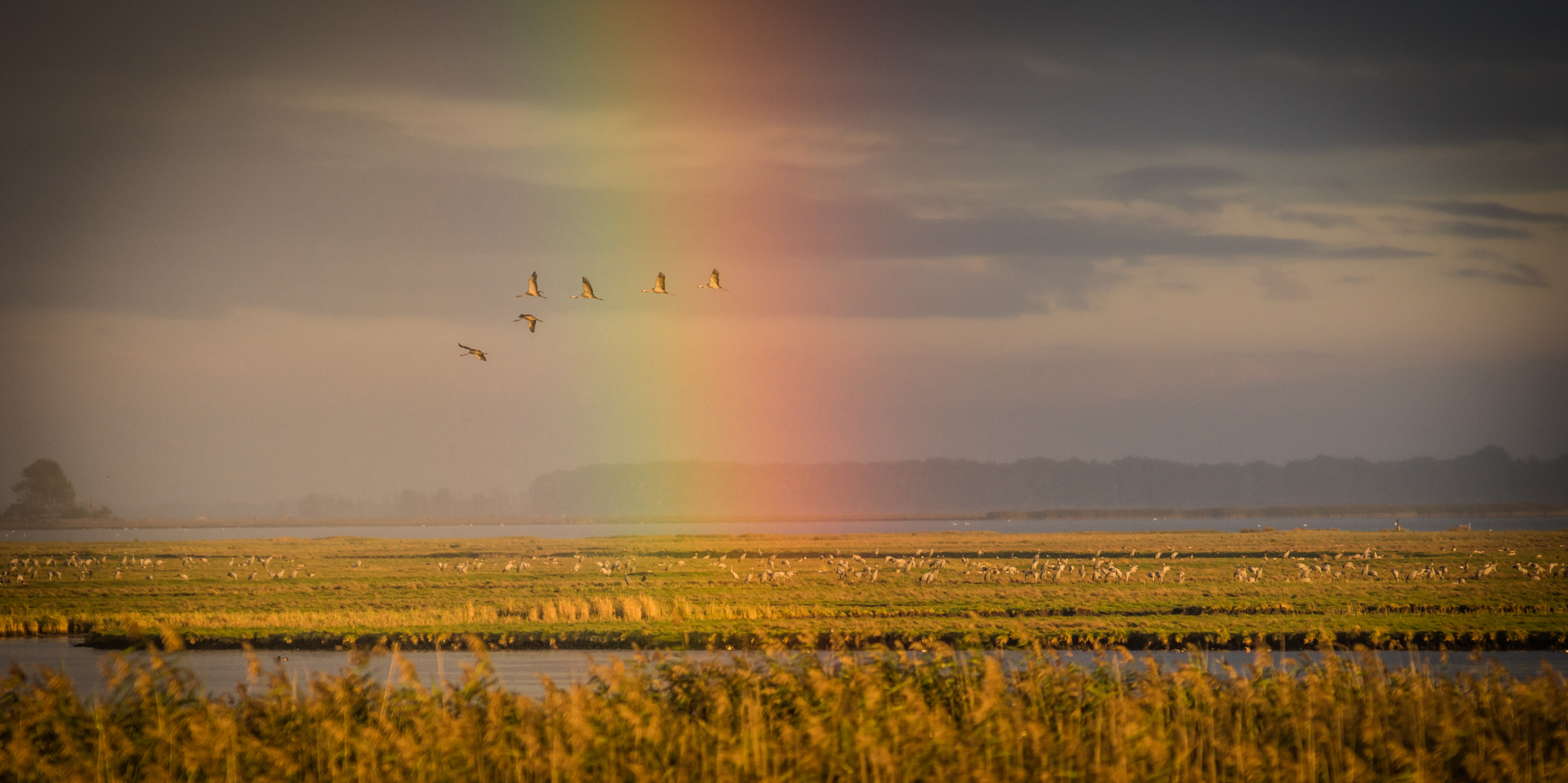 Minolta AF 80-200mm F2.8 HS-APO G sample photo. Magic of nature photography