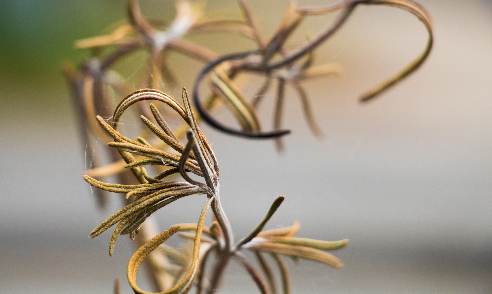 Canon EOS 760D (EOS Rebel T6s / EOS 8000D) sample photo. Old photography