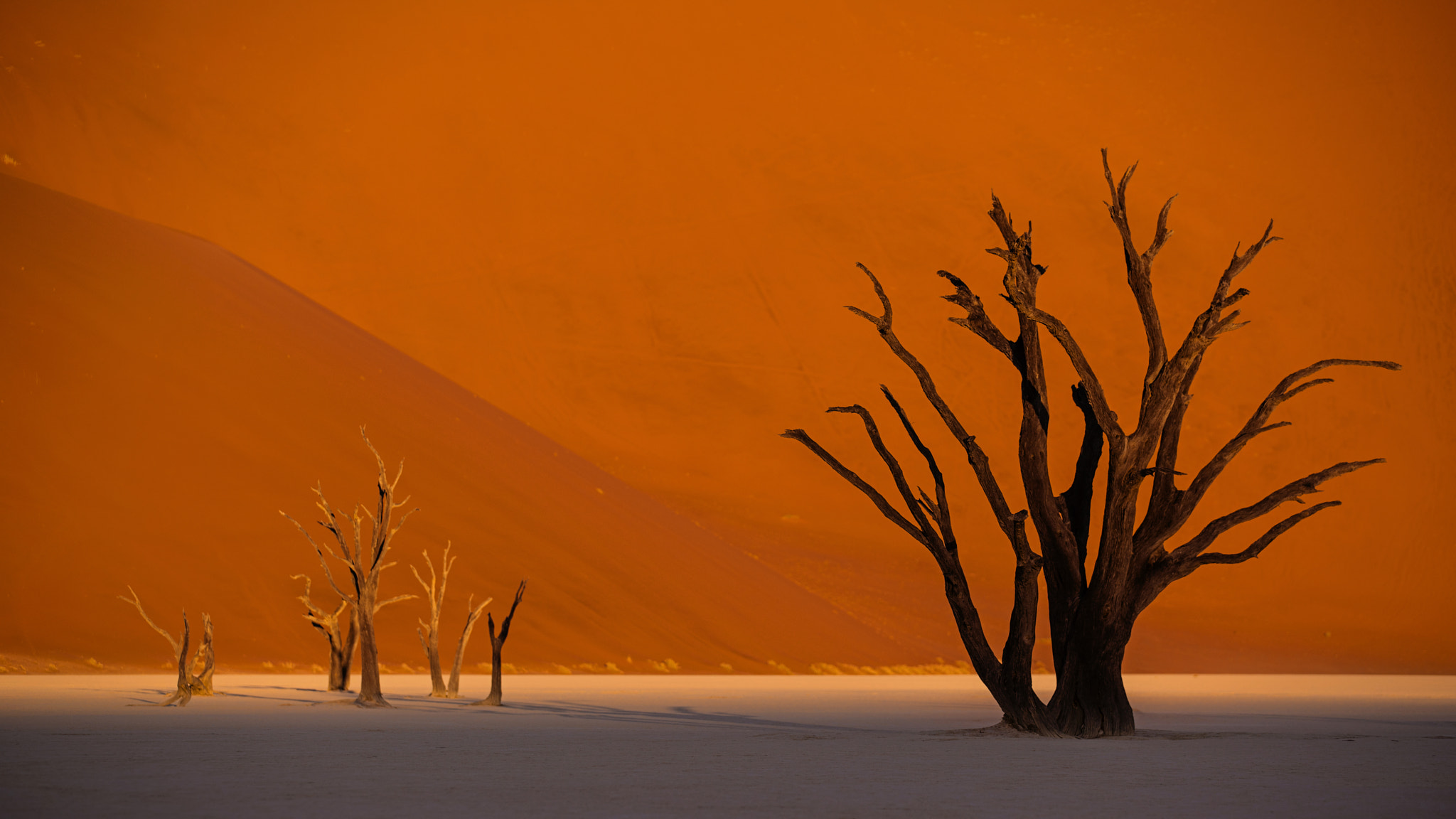 Canon EF 70-200mm F2.8L IS II USM sample photo. Deadvlei photography