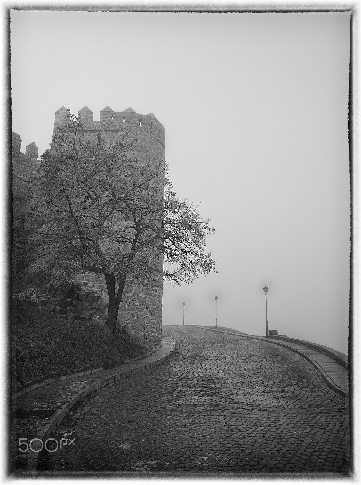 Olympus PEN E-PL1 sample photo. Niebla i photography
