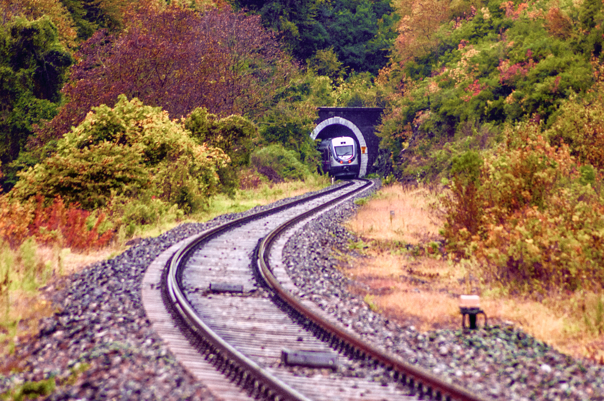Nikon D300 sample photo. Tren photography