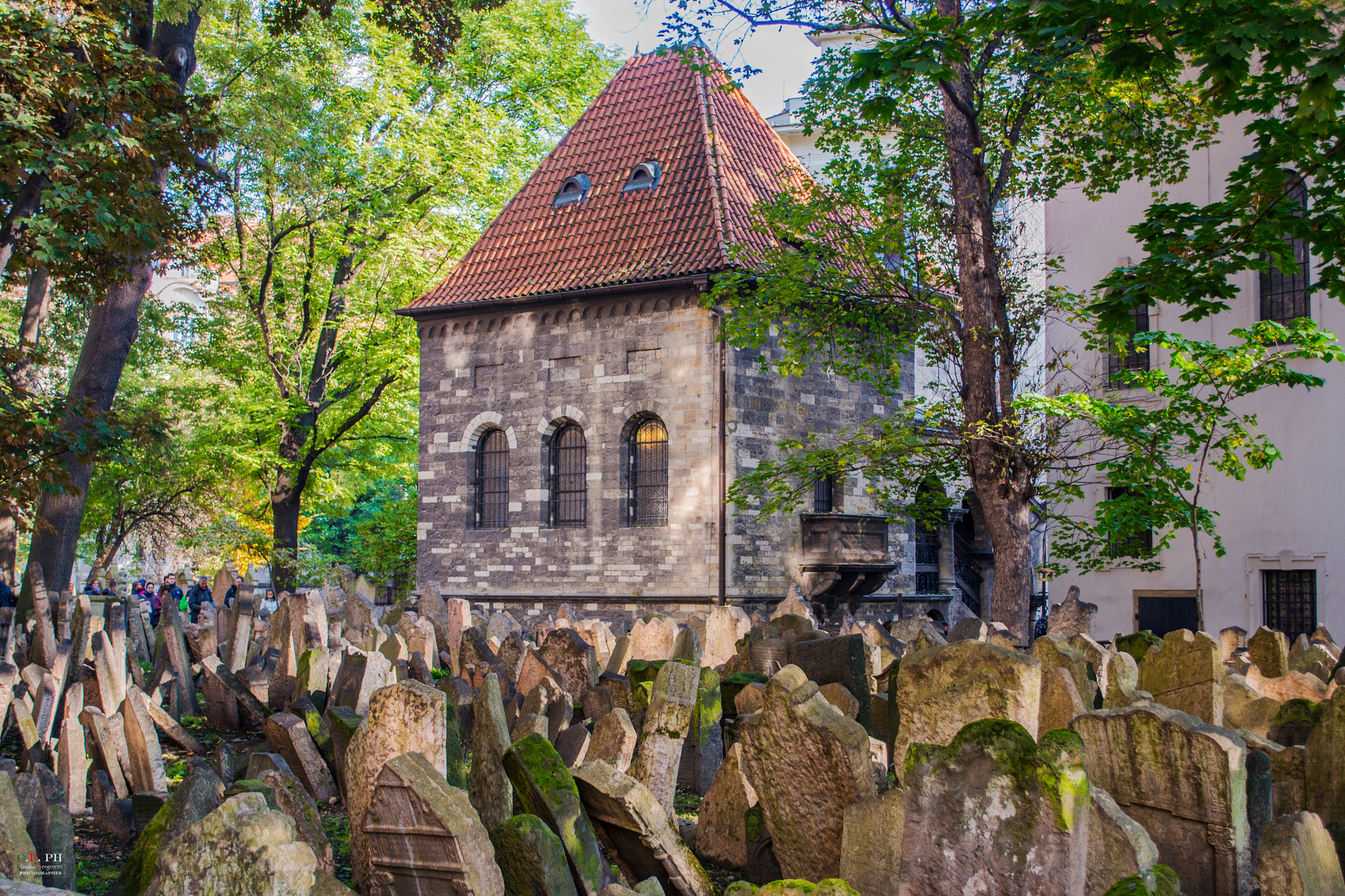 Nikon D800 sample photo. Cimitero ebraico photography