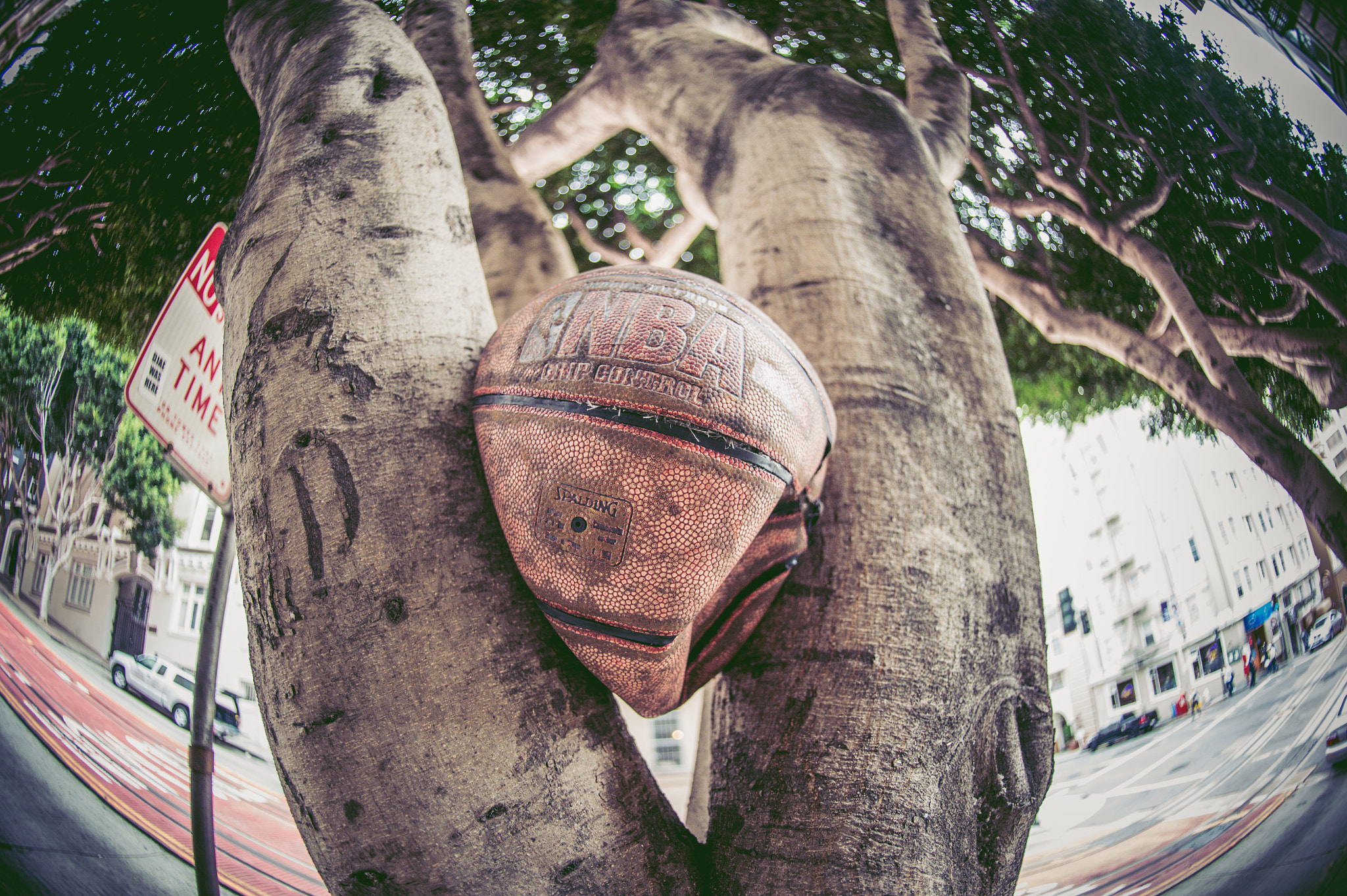 Nikon D4 + Nikon AF Fisheye-Nikkor 16mm F2.8D sample photo. Nba photography