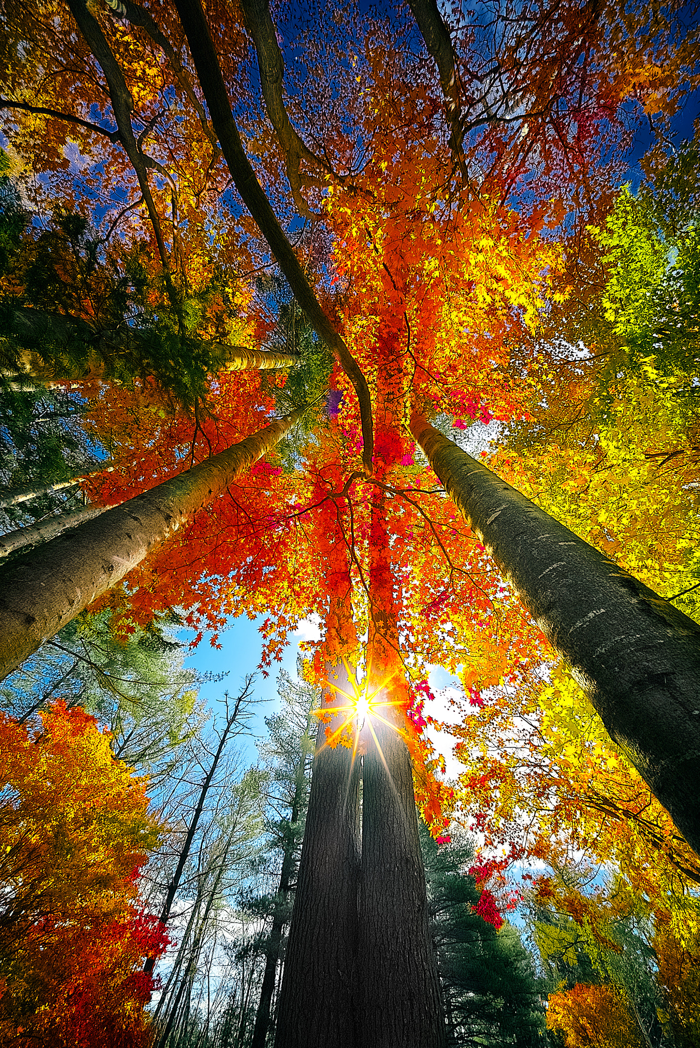 E 10mm F5.6 sample photo. Autumn in tokachi 2 photography