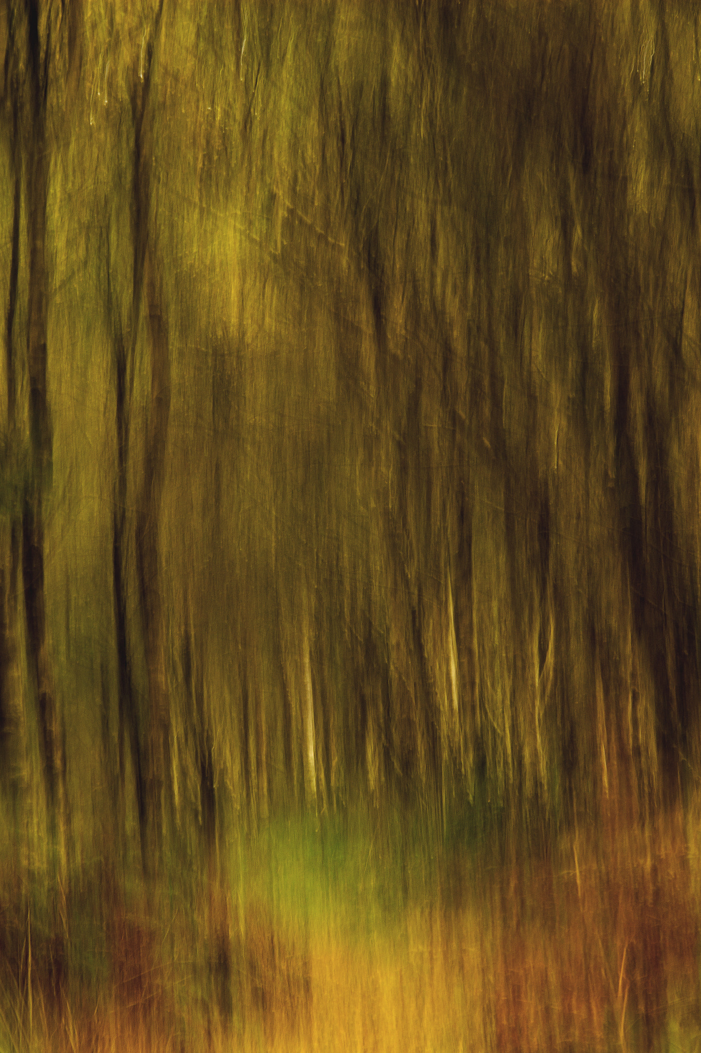 Sigma 18-200mm f/3.5-6.3 DC OS sample photo. The spirit of autumn photography