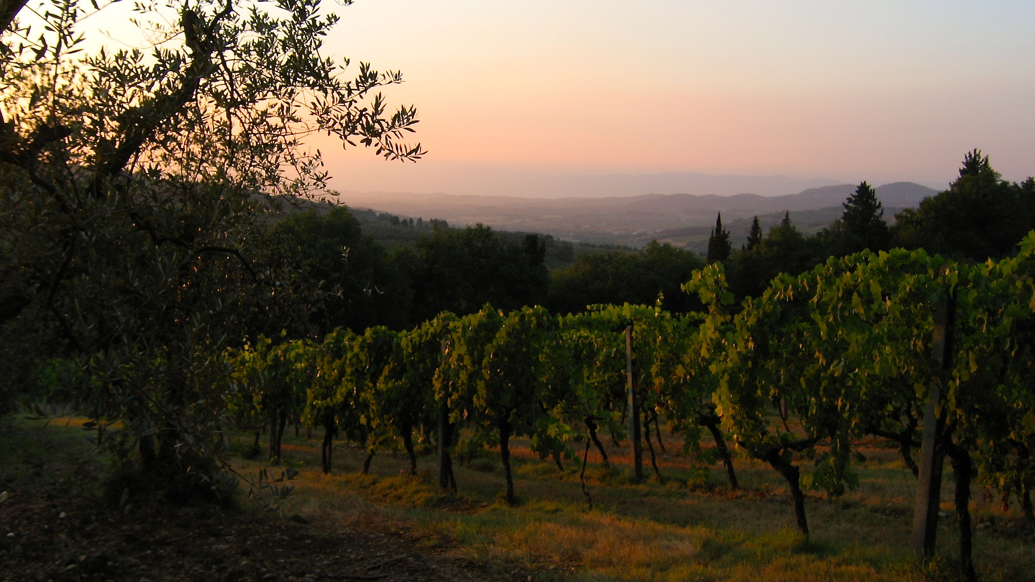 Canon POWERSHOT A95 sample photo. Golden sunset in tuscany photography