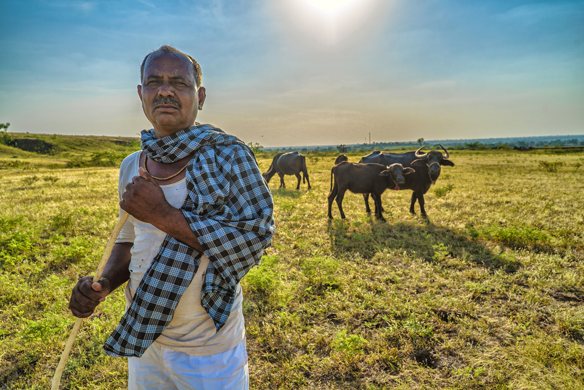 ZEISS Batis 25mm F2 sample photo. Farmer with his cattle photography