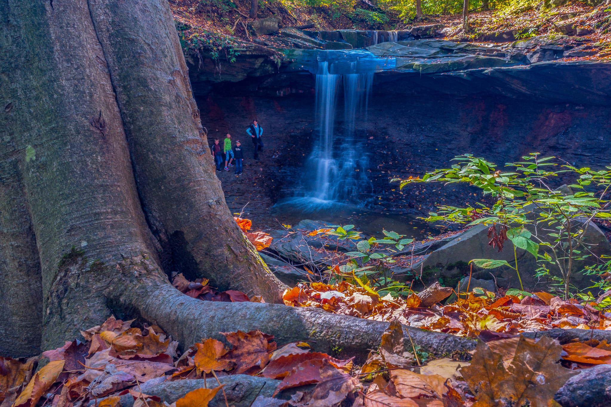 Samsung NX1 + Samsung NX 16mm F2.4 Pancake sample photo. Blue hen falls photography