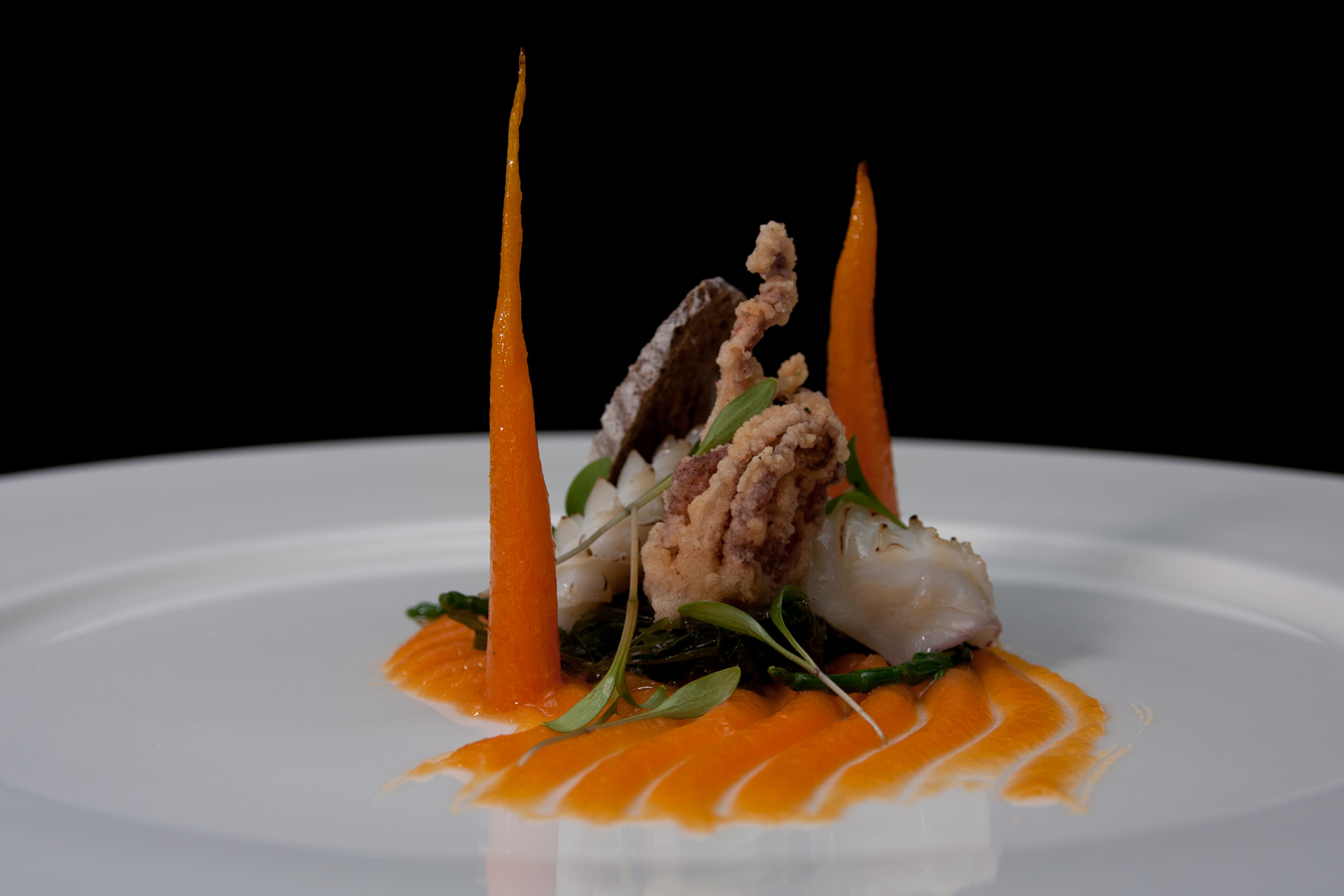 Canon EOS 40D sample photo. Sea food photography