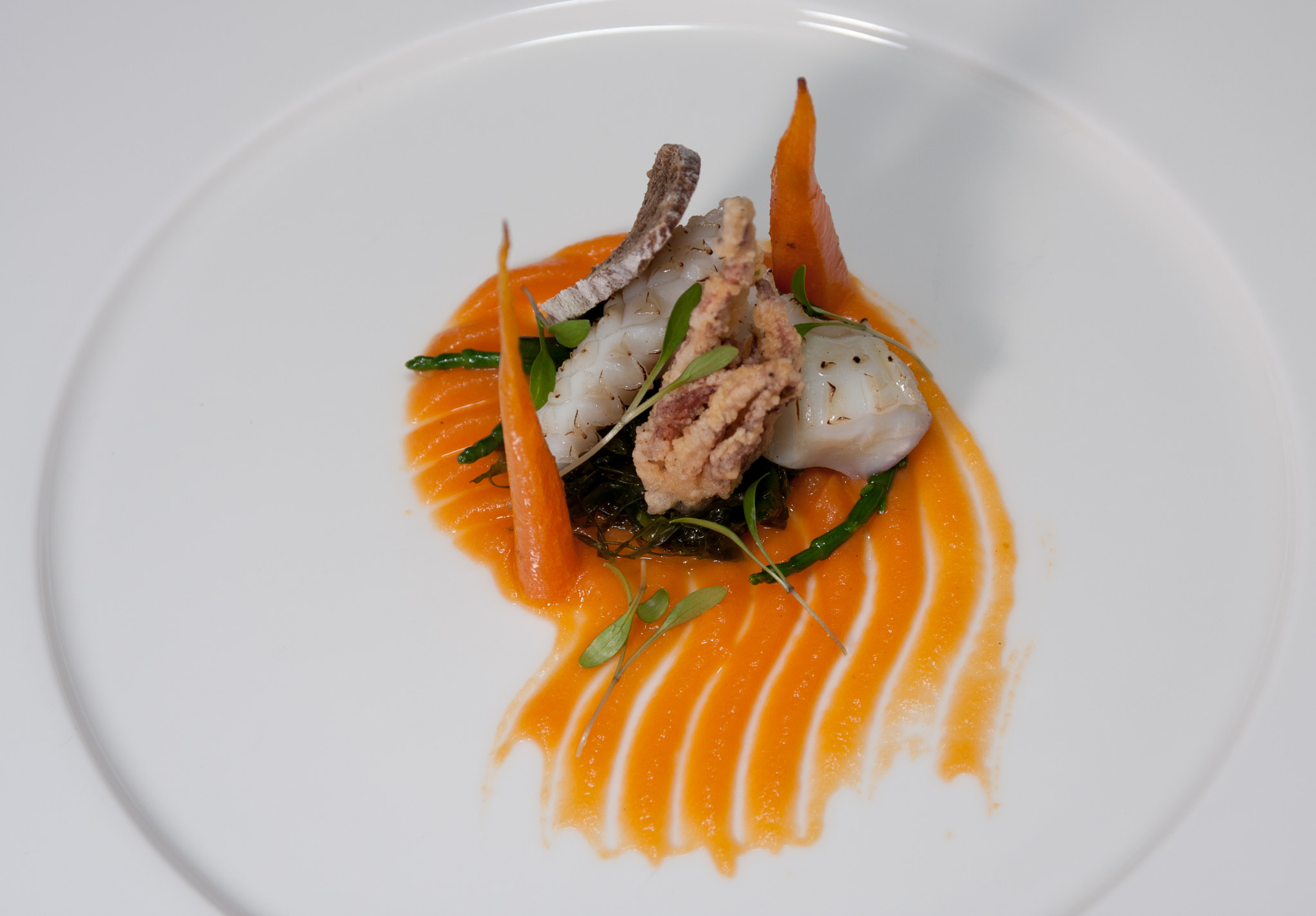 Canon EOS 40D sample photo. Calamari photography