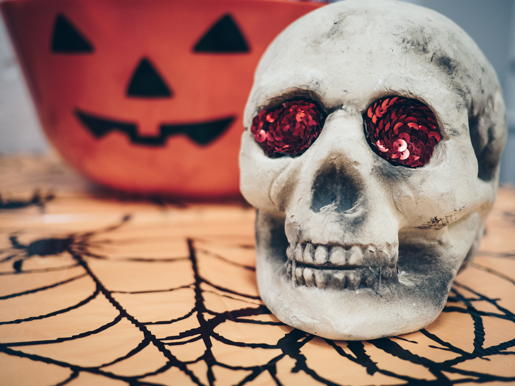 Olympus OM-D E-M5 II + LUMIX G 20/F1.7 II sample photo. Project 365, day three hundred and one - skull photography