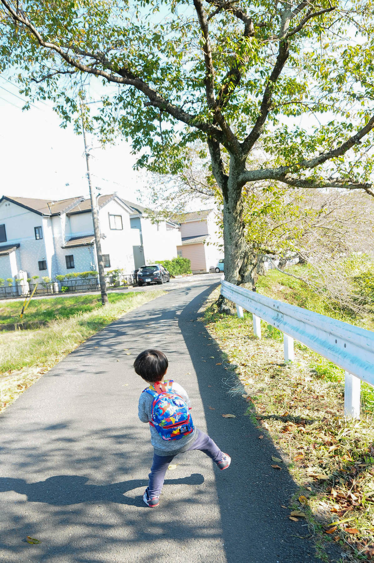 Nikon D300S sample photo. I like walking photography