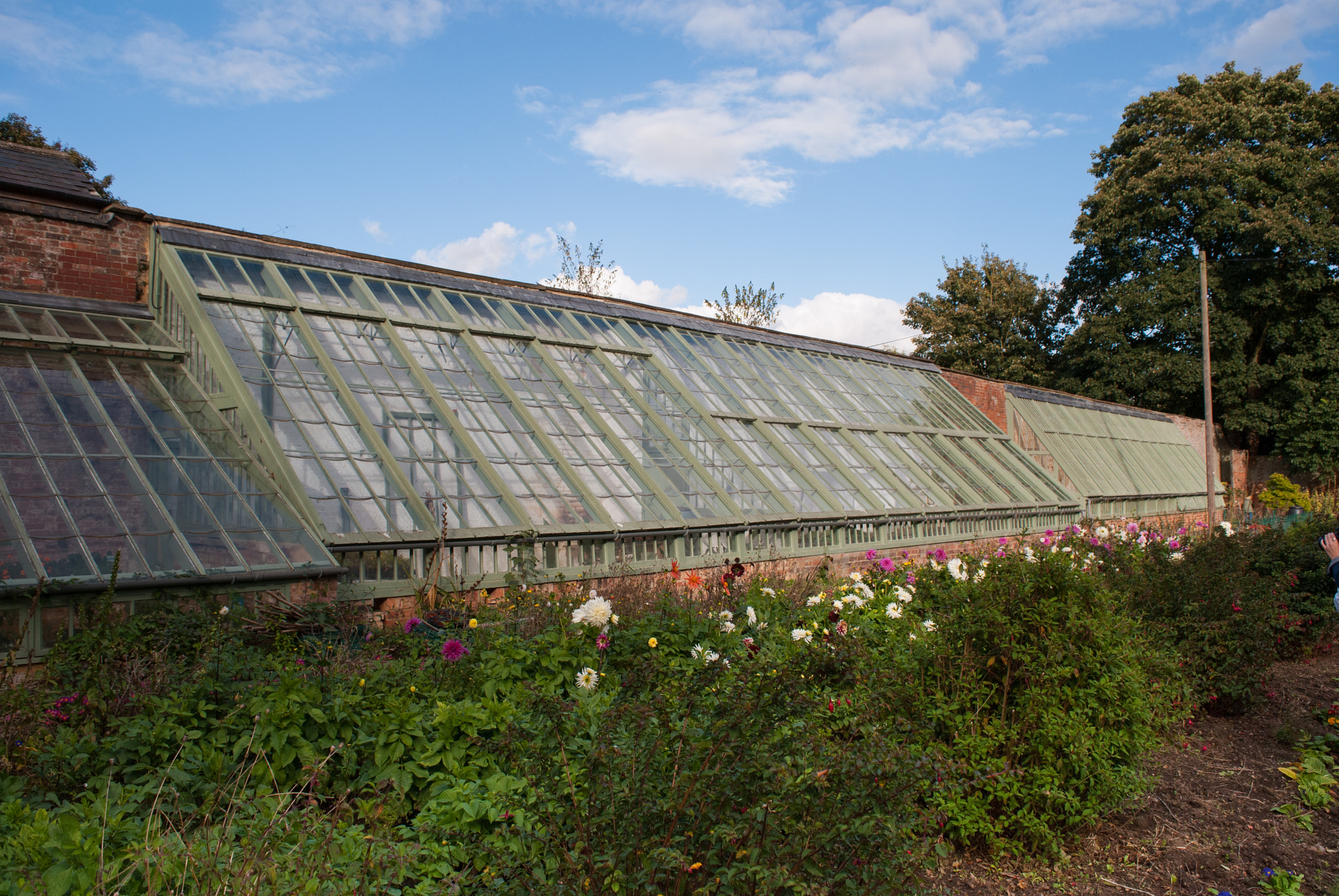 Nikon D80 sample photo. Sun lit green house photography