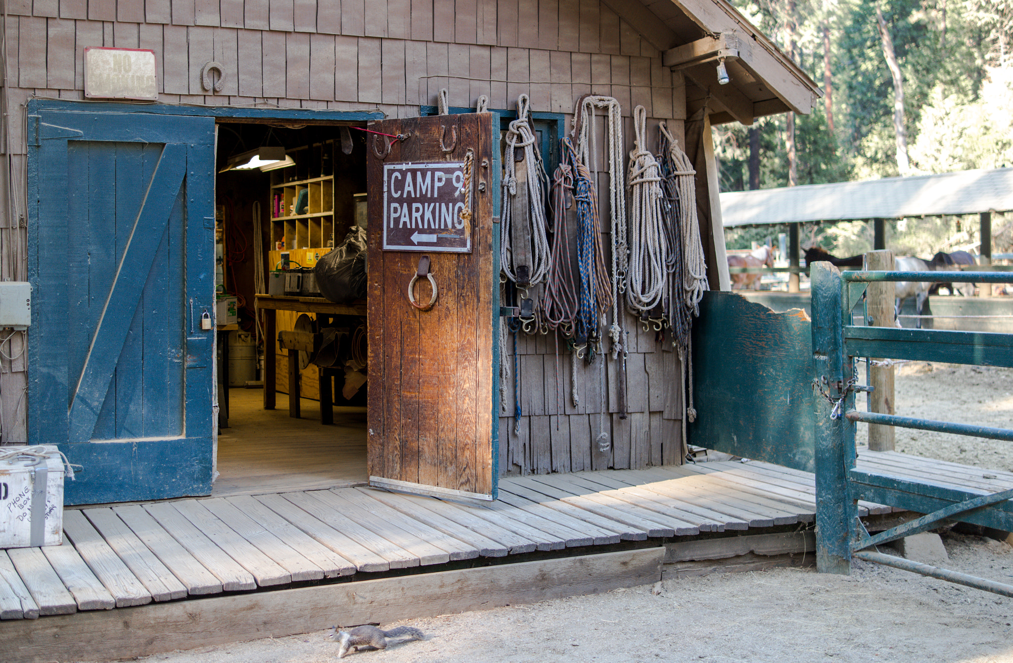 Samsung NX300 + Samsung NX 30mm F2 Pancake sample photo. Yosemite stables photography