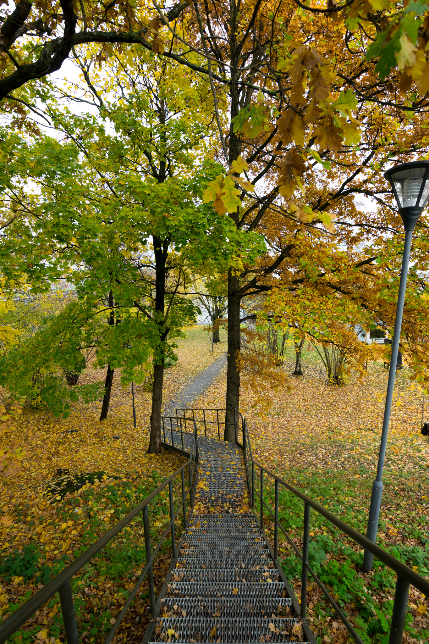 Nikon D3300 + Tokina AT-X 11-20 F2.8 PRO DX (AF 11-20mm f/2.8) sample photo. Autumn stairs photography