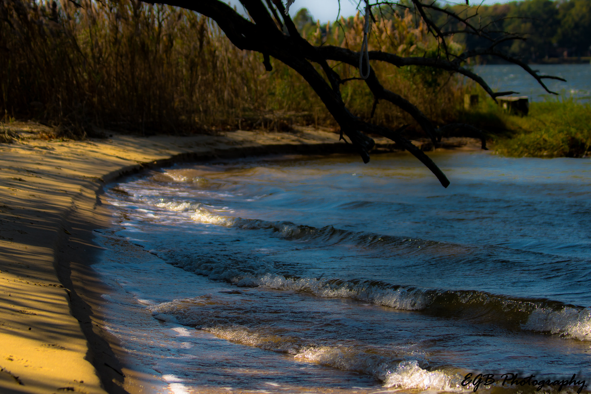 Canon EF 70-300mm F4-5.6 IS USM sample photo. A walk on the beach photography