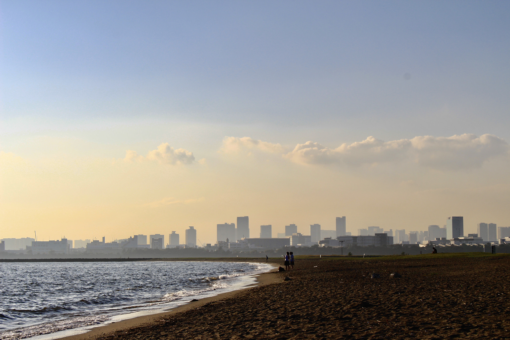 Canon EOS 700D (EOS Rebel T5i / EOS Kiss X7i) sample photo. Autumn at kasai marine park photography
