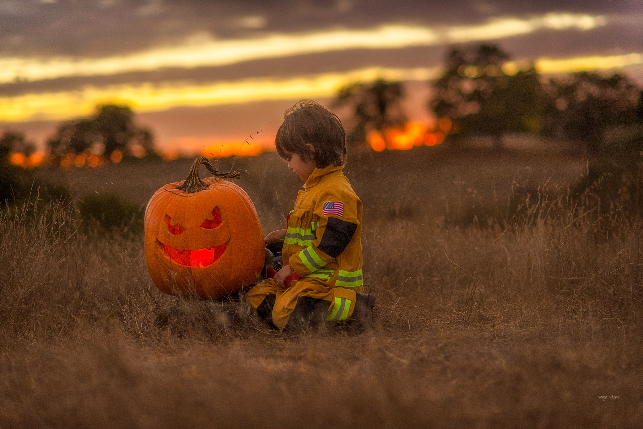 Nikon D600 sample photo. The fireman's pumpkin photography