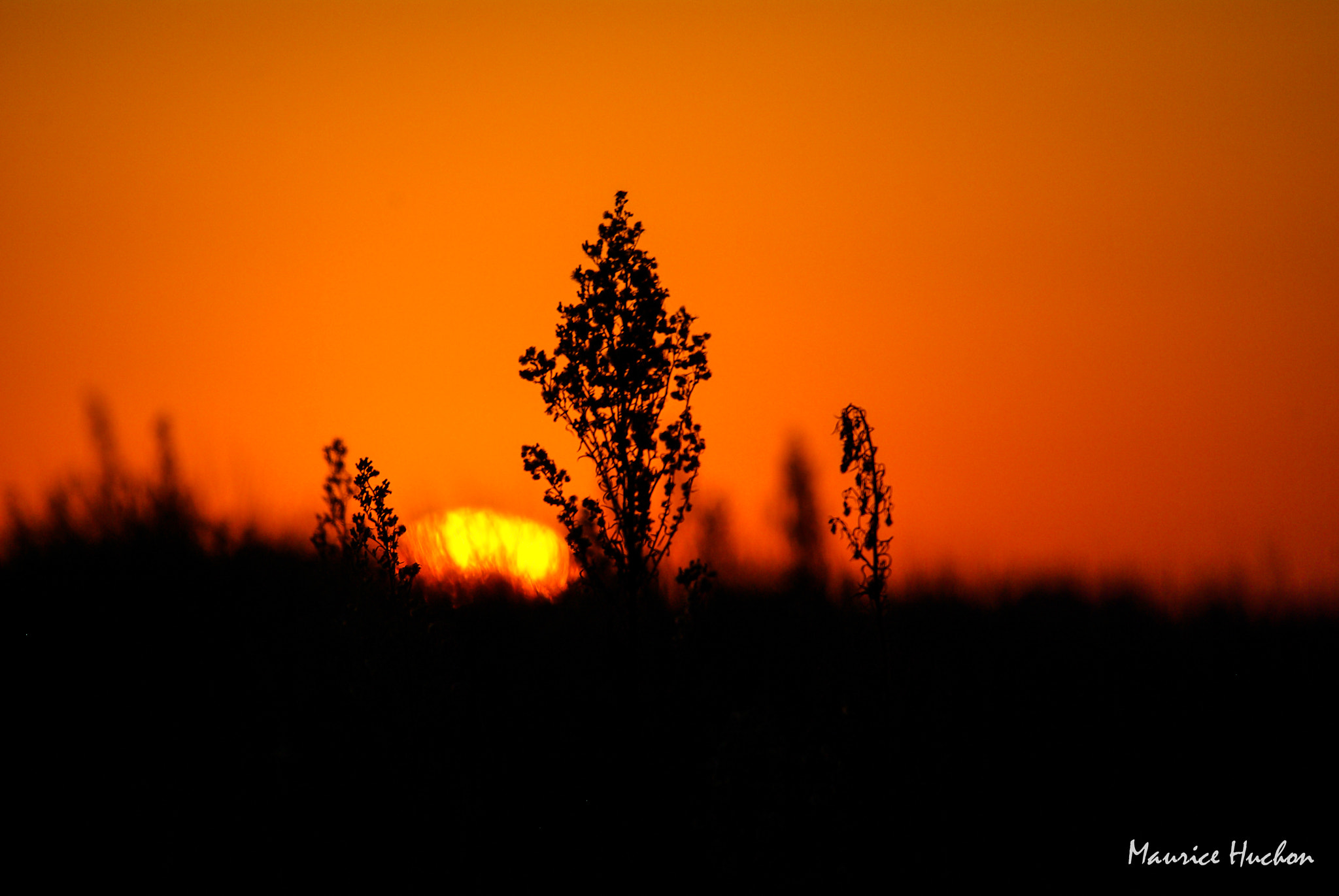 Pentax K10D + Sigma 70-200mm F2.8 EX DG Macro HSM II sample photo. Coucher de soleil photography