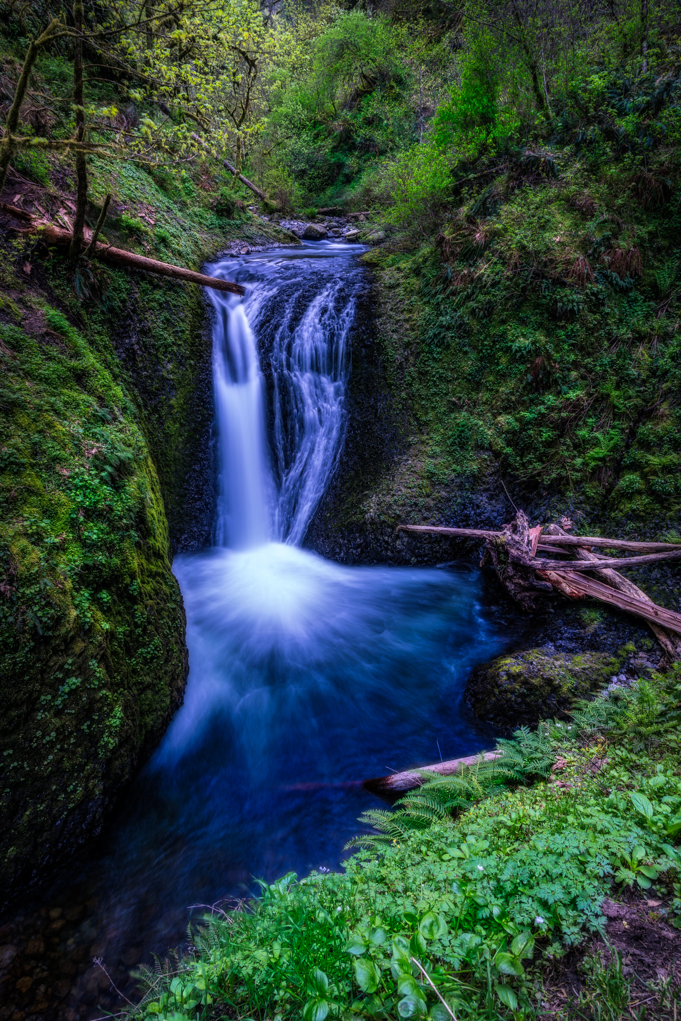 Sony a7R II + Canon EF 24-105mm F4L IS USM sample photo. Upper oneonta photography