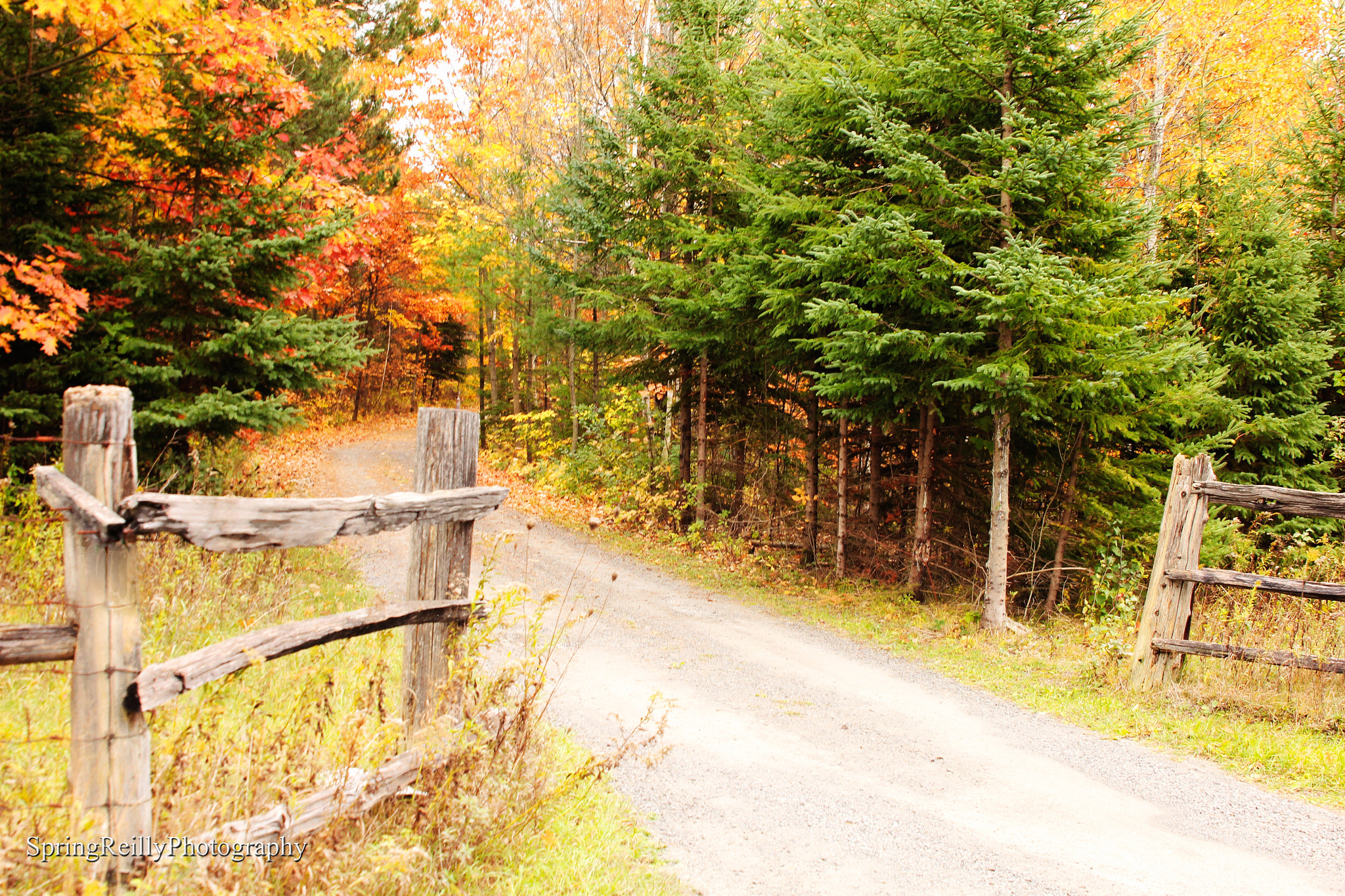 Sigma 24-70mm f/2.8 IF EX DG HSM sample photo. Unknown autumn destination photography