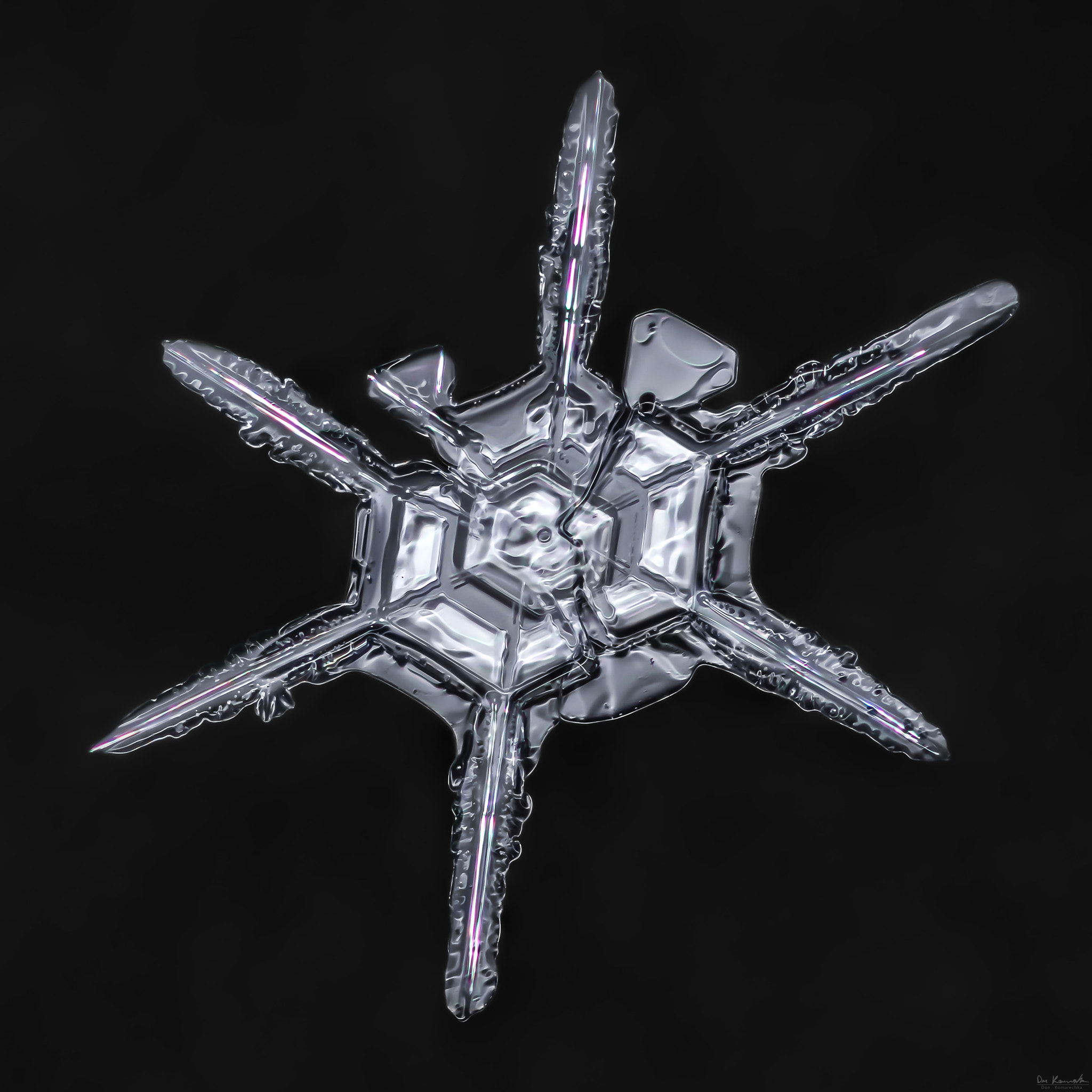Canon MP-E 65mm F2.5 1-5x Macro Photo sample photo. Let it snow! photography