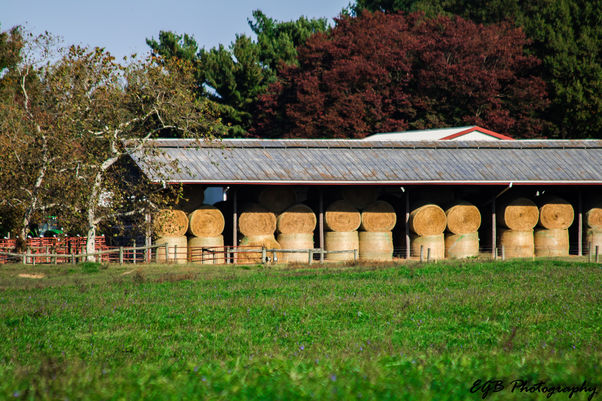 Canon EF 70-300mm F4-5.6 IS USM sample photo. All rolled up photography