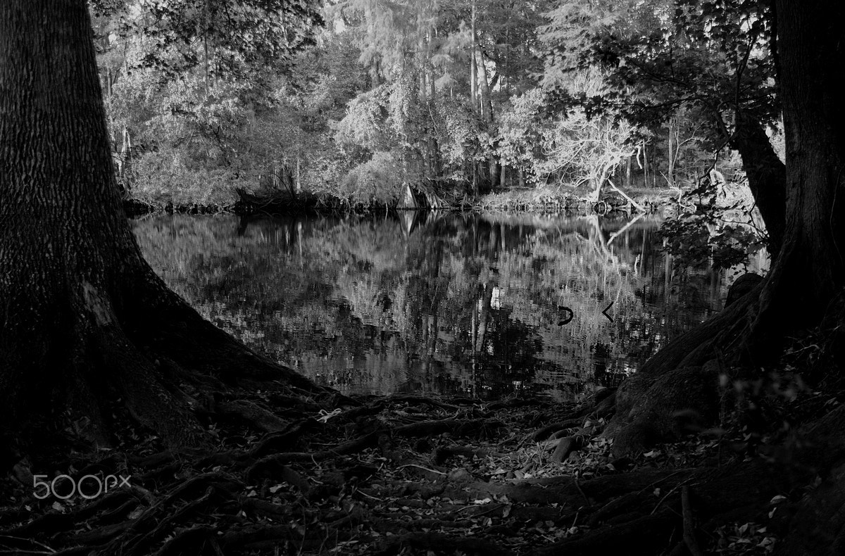 Sigma 18-50mm F2.8 EX DC Macro sample photo. Santa fe river photography