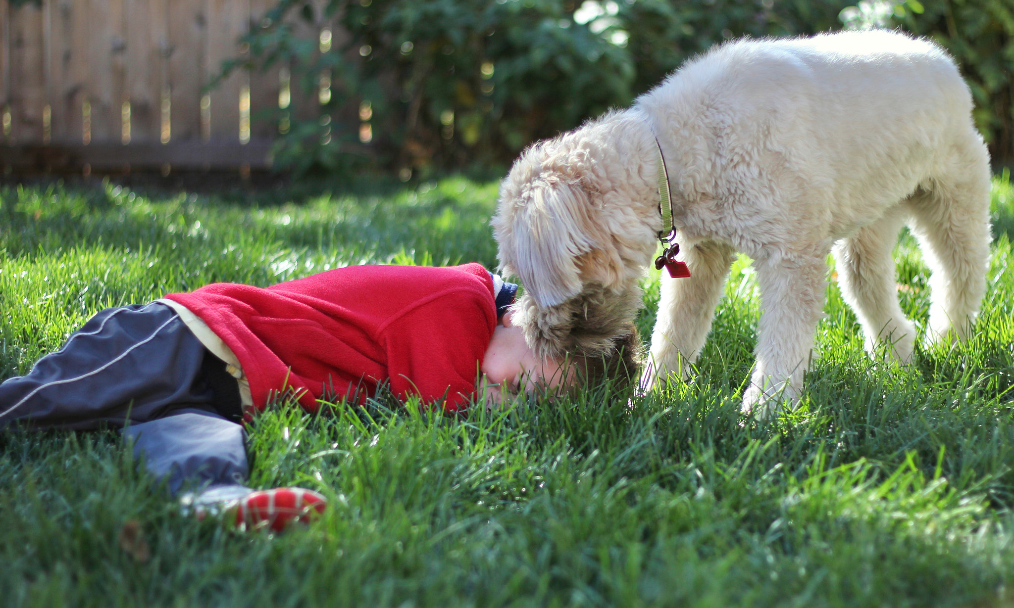 Canon EOS 550D (EOS Rebel T2i / EOS Kiss X4) sample photo. Tickle kisses photography