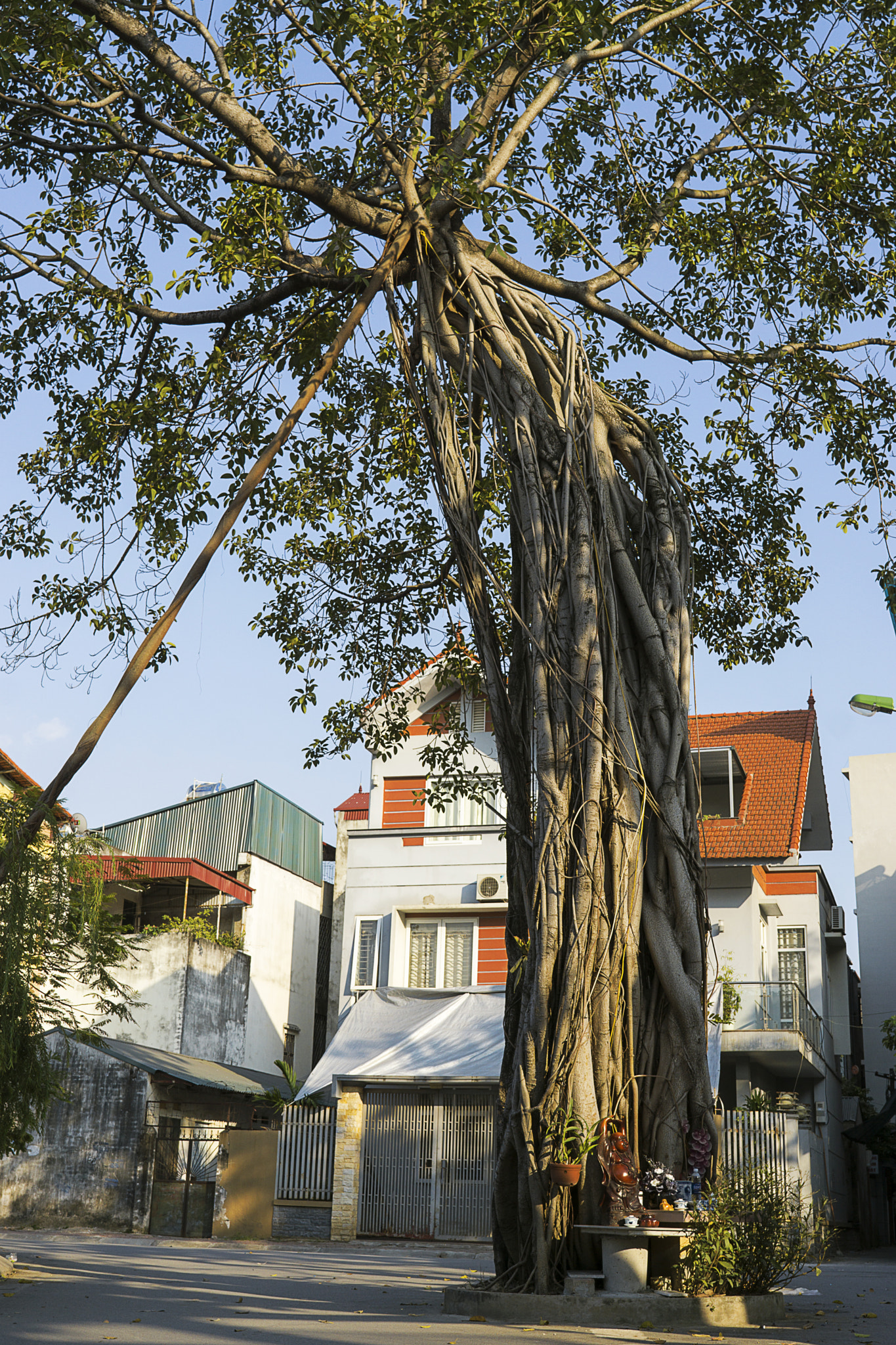 Sony FE 28mm F2 sample photo. Mo lao photography