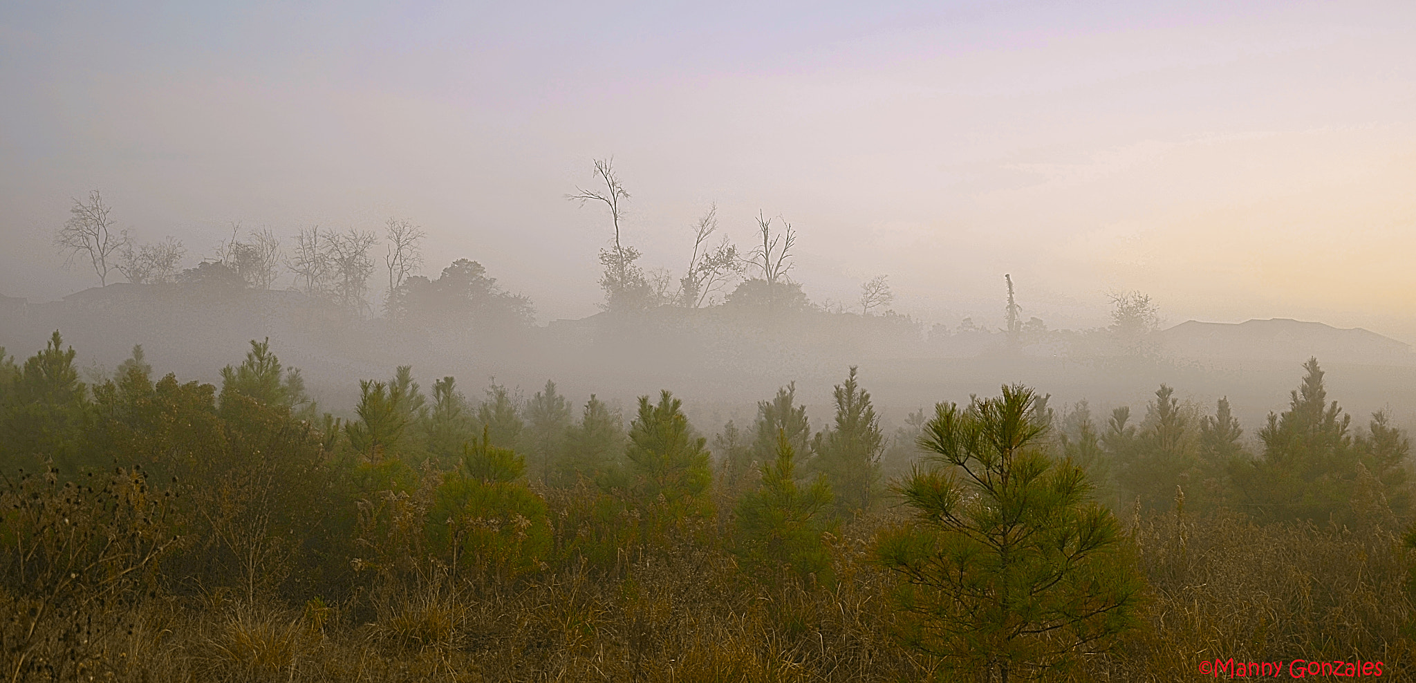 Sigma 18-200mm F3.5-6.3 DC sample photo. Foggy morning photography