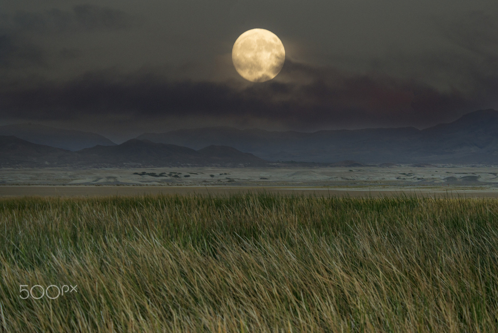 Nikon D800 sample photo. Moon shot photography