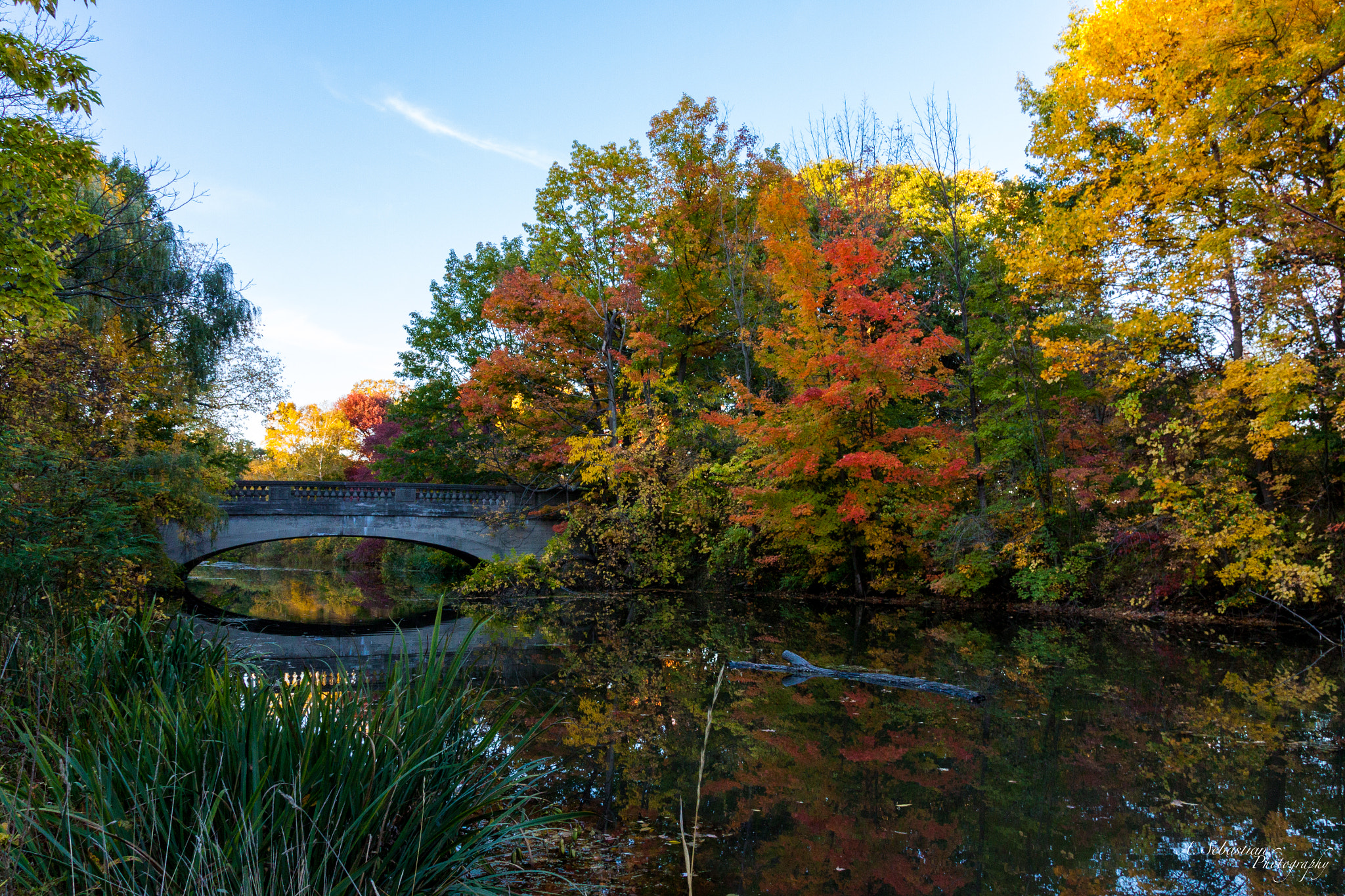 Sigma 18-250mm F3.5-6.3 DC OS HSM sample photo. Genesee valley park bridge photography