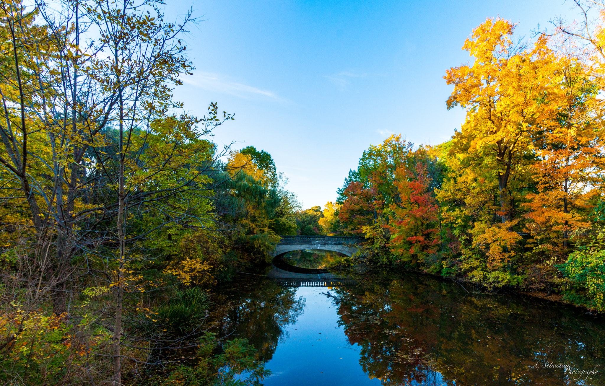 Sigma 18-250mm F3.5-6.3 DC OS HSM sample photo. Genesee valley park photography