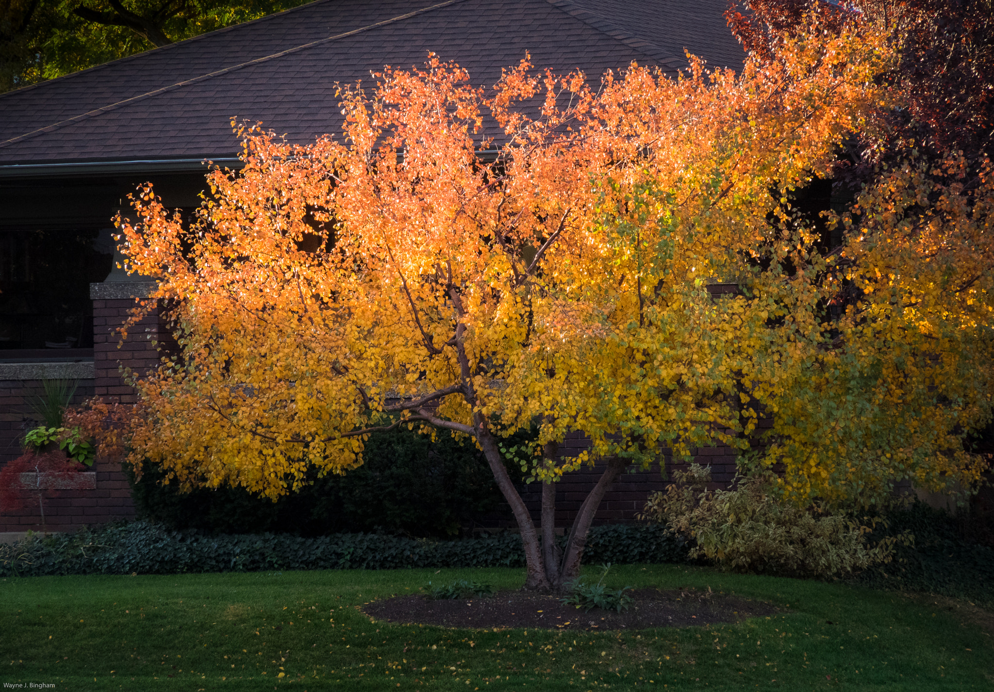 Olympus OM-D E-M1 sample photo. Sunrise photography