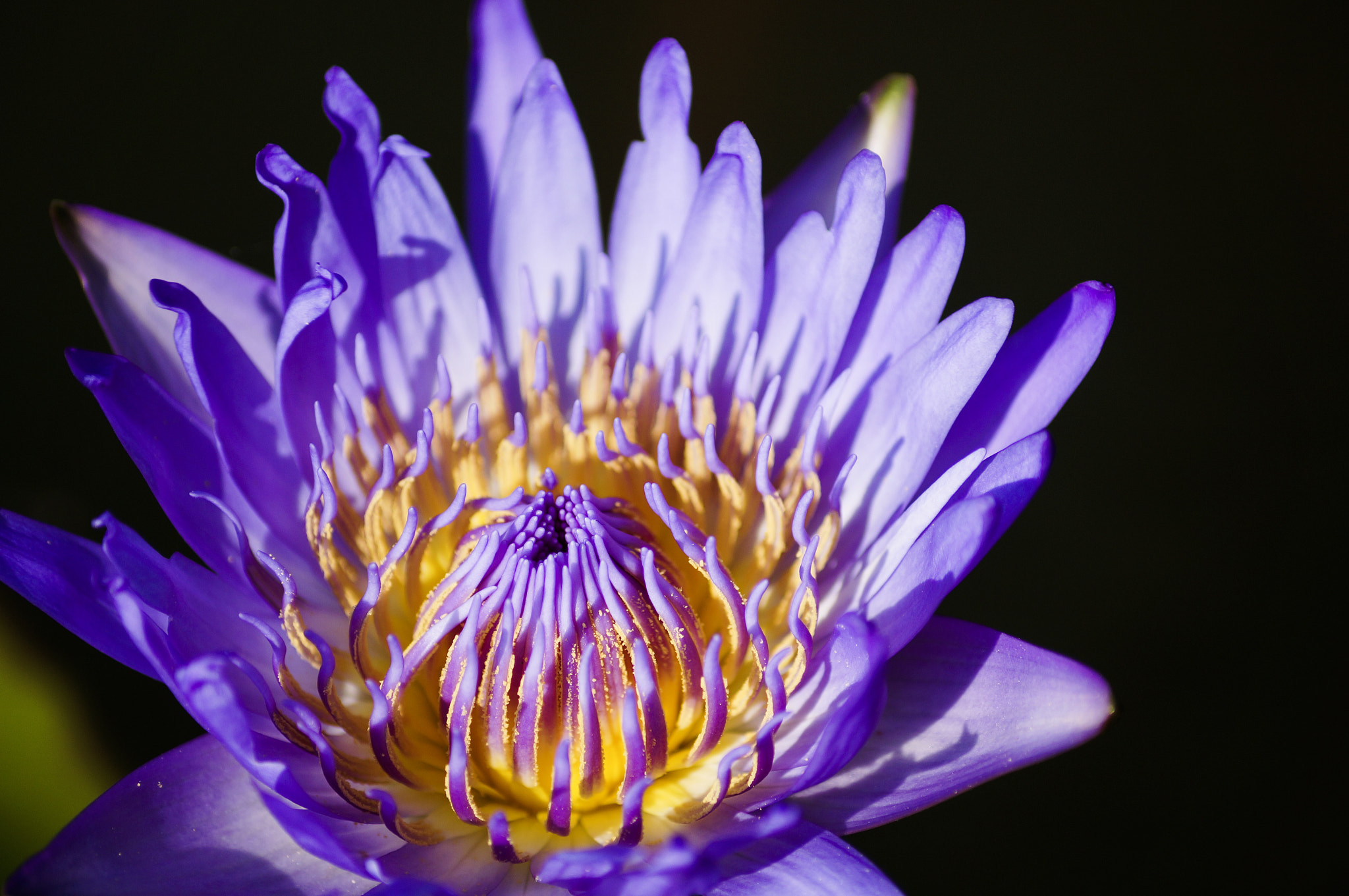 Sony DT 55-200mm F4-5.6 SAM sample photo