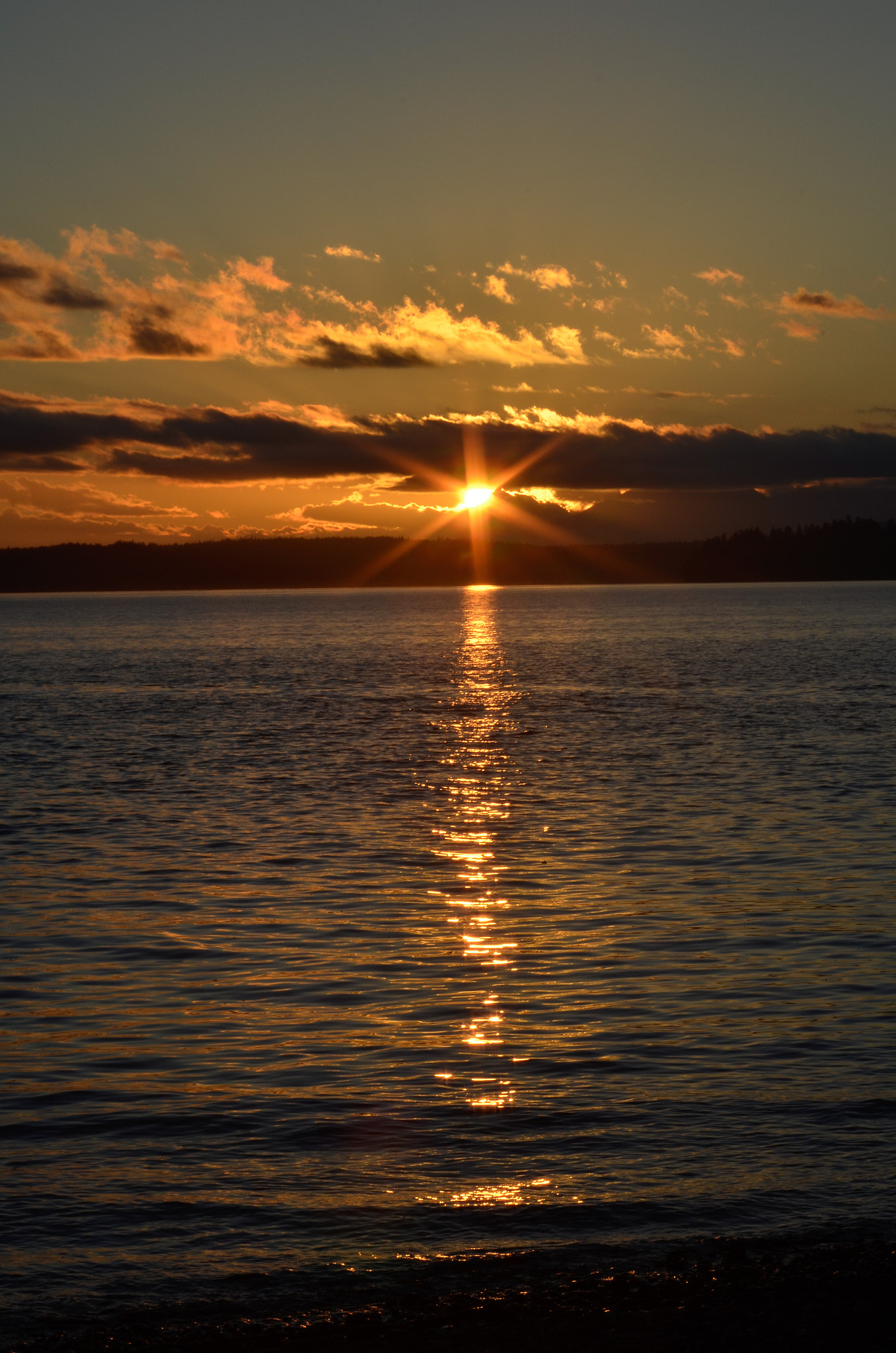 Nikon D5100 sample photo. Westseattlesunset photography