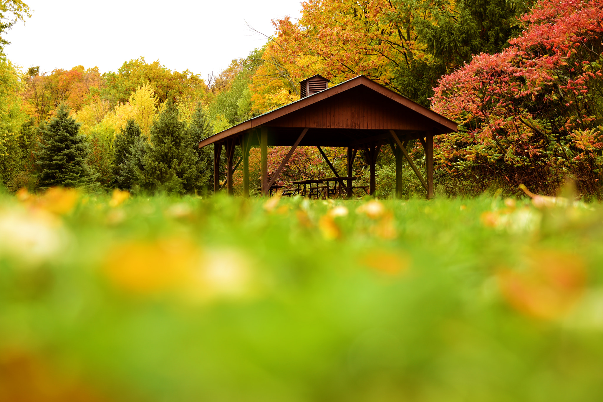 Nikon AF-S Nikkor 24-70mm F2.8G ED sample photo. Rattlesnake point conservation area photography