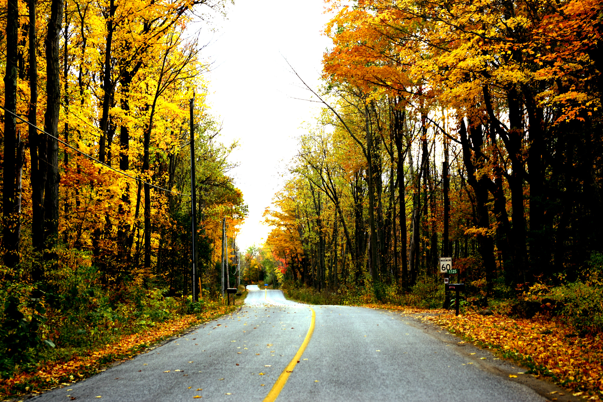 Nikon AF-S Nikkor 24-70mm F2.8G ED sample photo. Rattlesnake point conservation area photography
