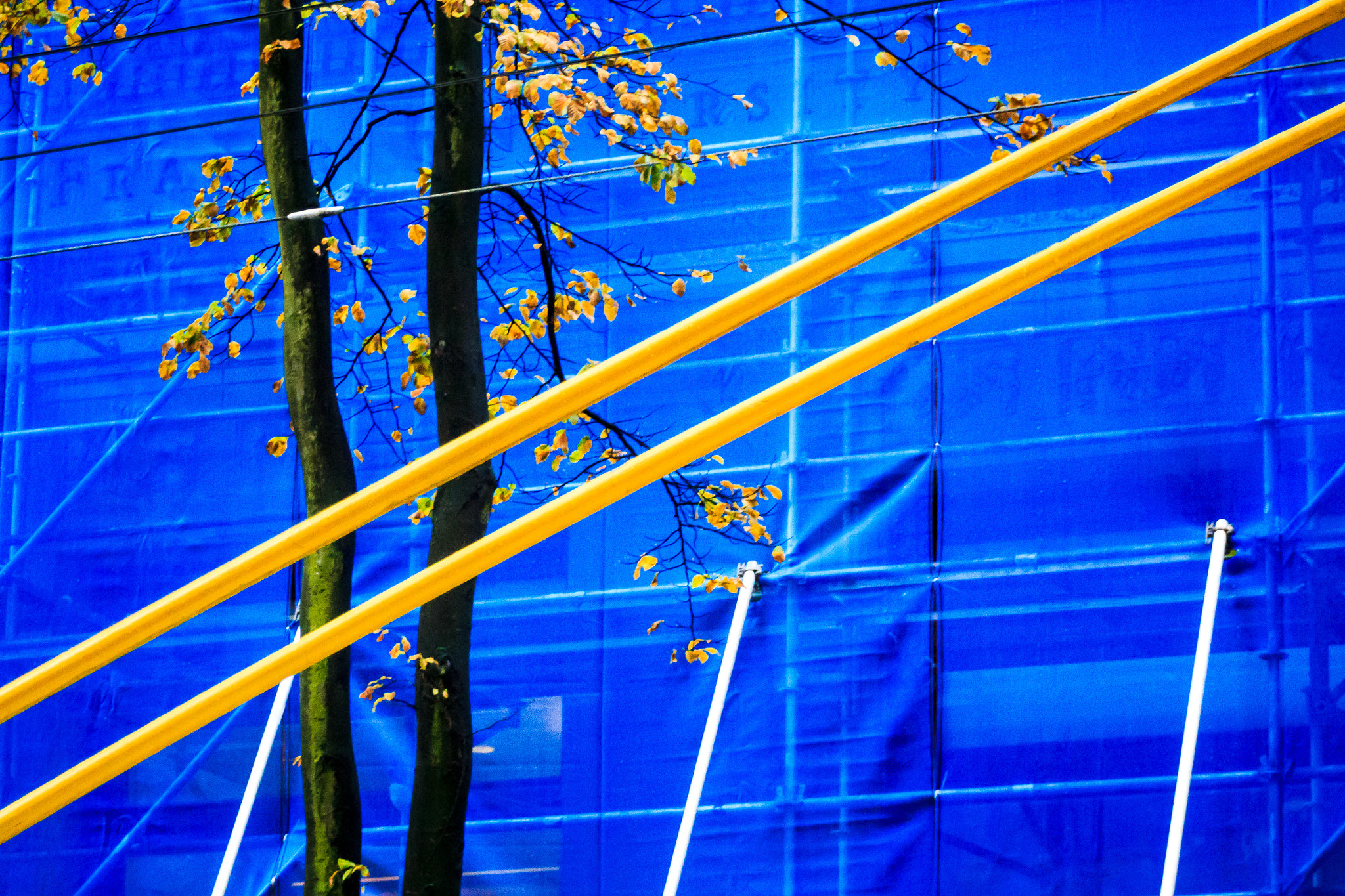 Sigma 18-250mm F3.5-6.3 DC OS HSM sample photo. Downtown photography