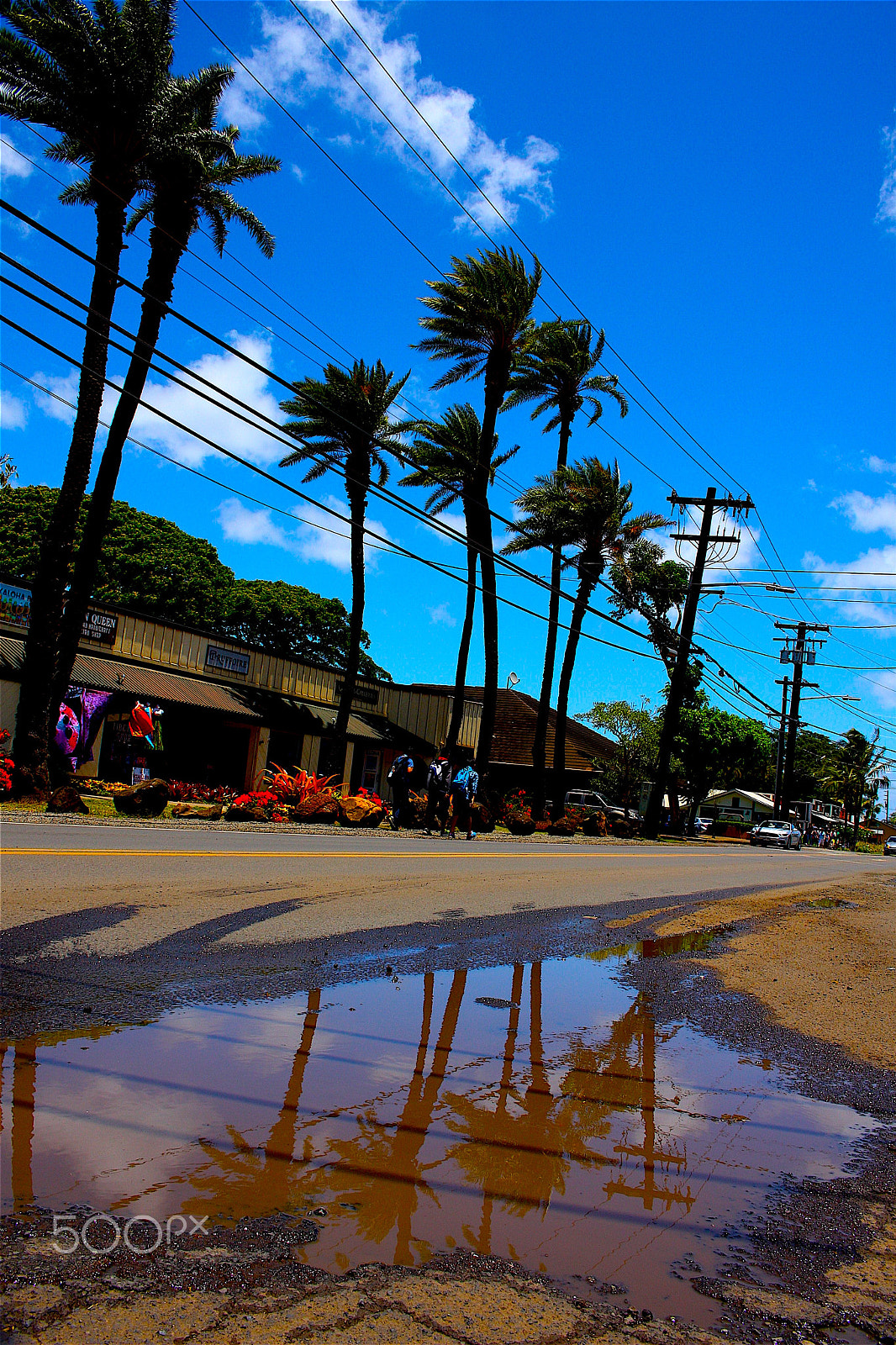 Canon EOS 40D sample photo. North shore reflection. photography