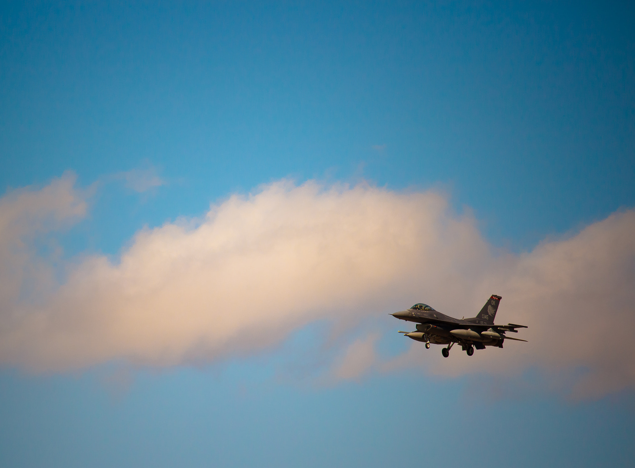 Canon EF-S 55-250mm F4-5.6 IS STM sample photo. Landing permission granted photography