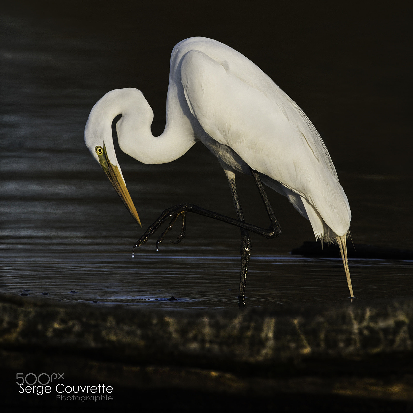 Nikon D750 + Nikon AF-S Nikkor 500mm F4G ED VR sample photo. Cleaning before the sunset photography