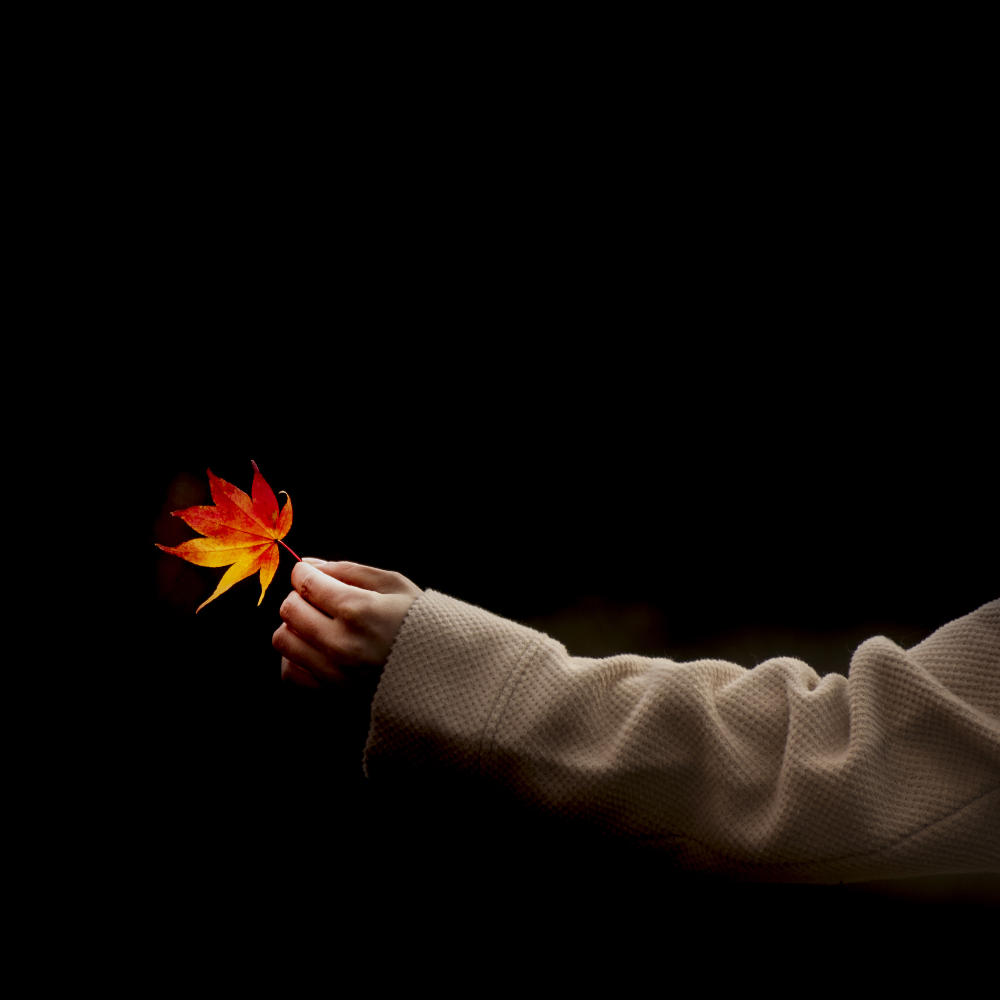 Nikon D2X sample photo. Bathed in light photography