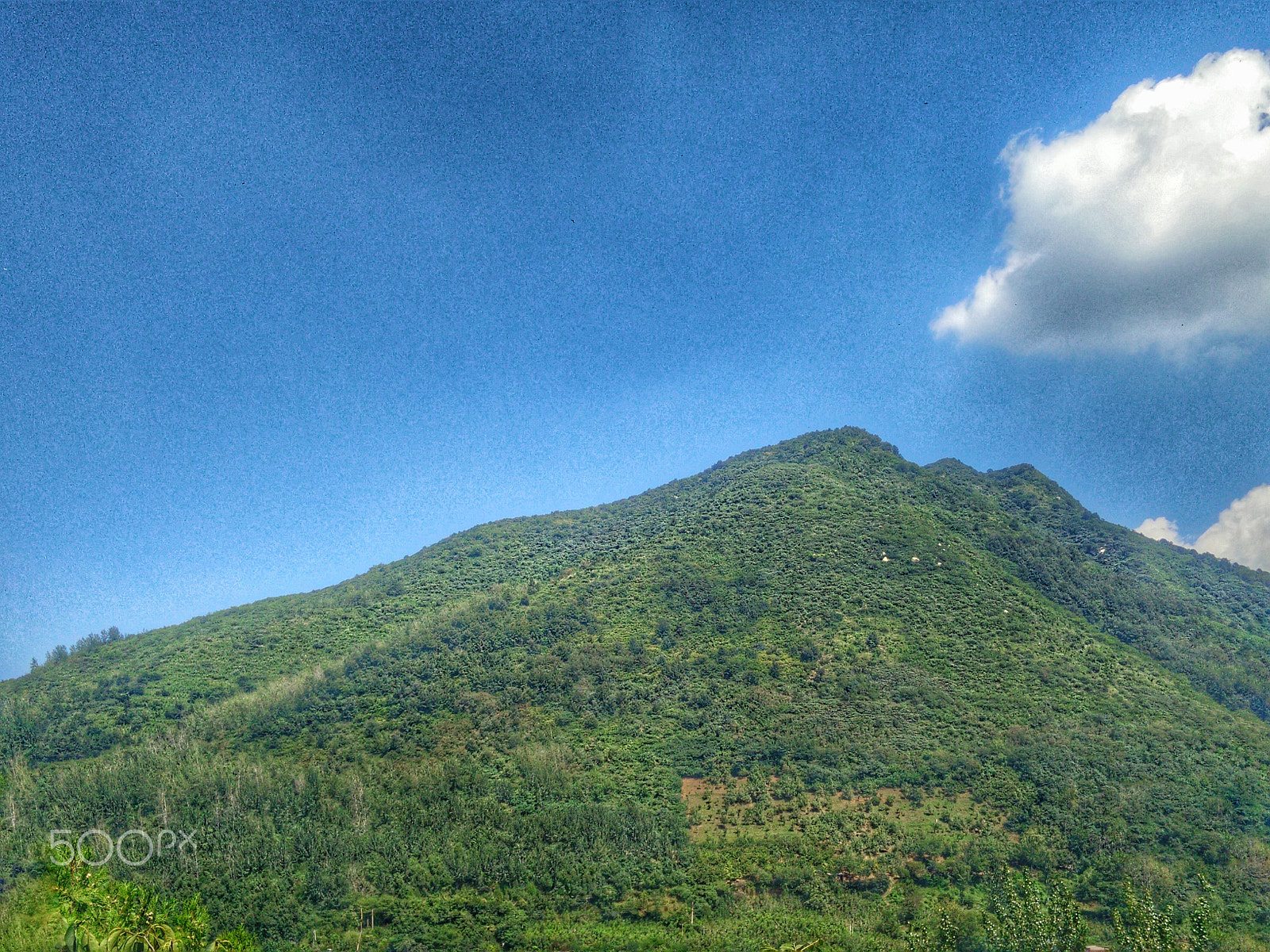 OnePlus ONE sample photo. Img photography