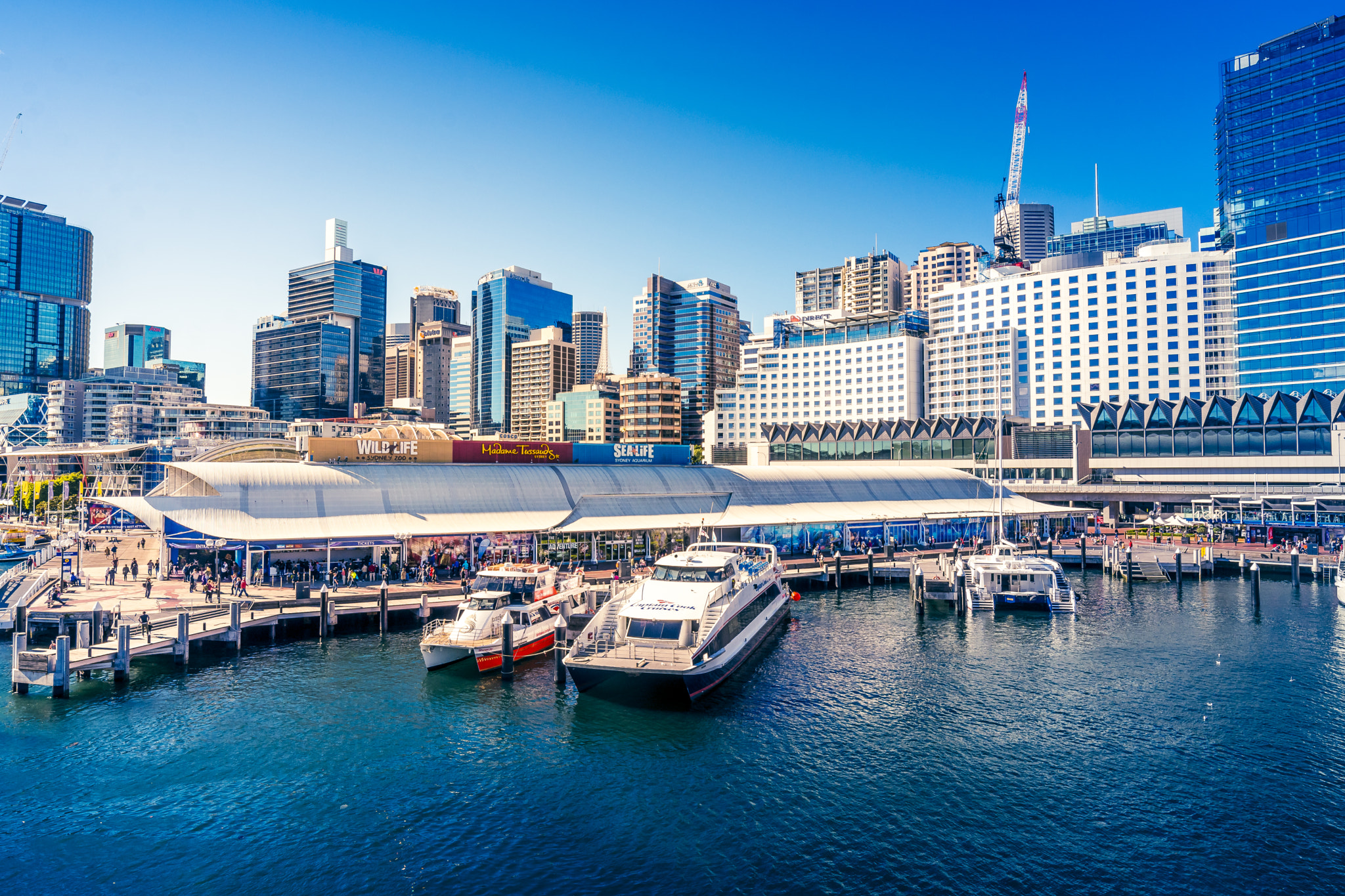 Samyang 14mm F2.8 ED AS IF UMC sample photo. Darling harbour photography