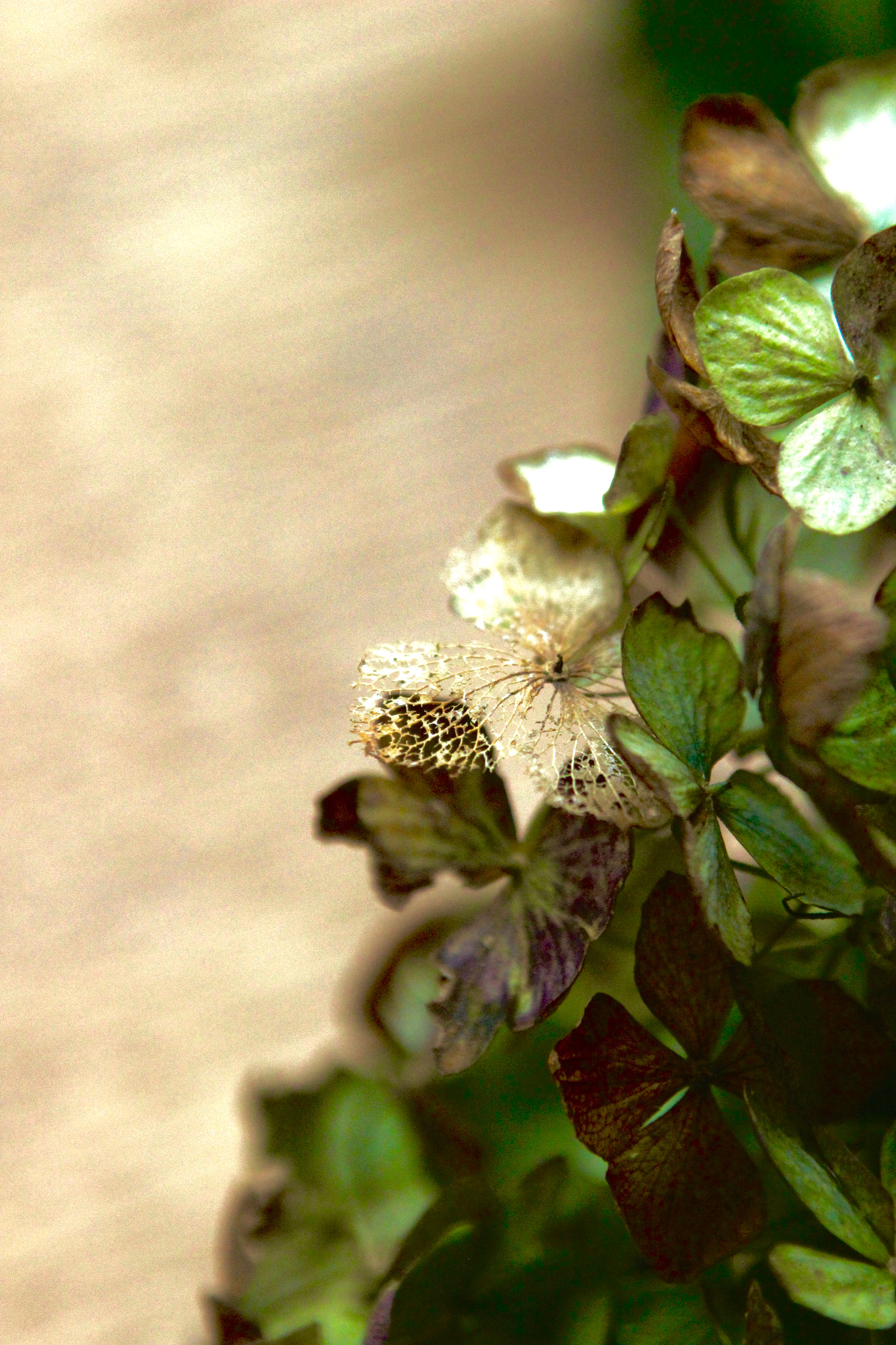 Canon EOS 600D (Rebel EOS T3i / EOS Kiss X5) sample photo. Gold vein photography